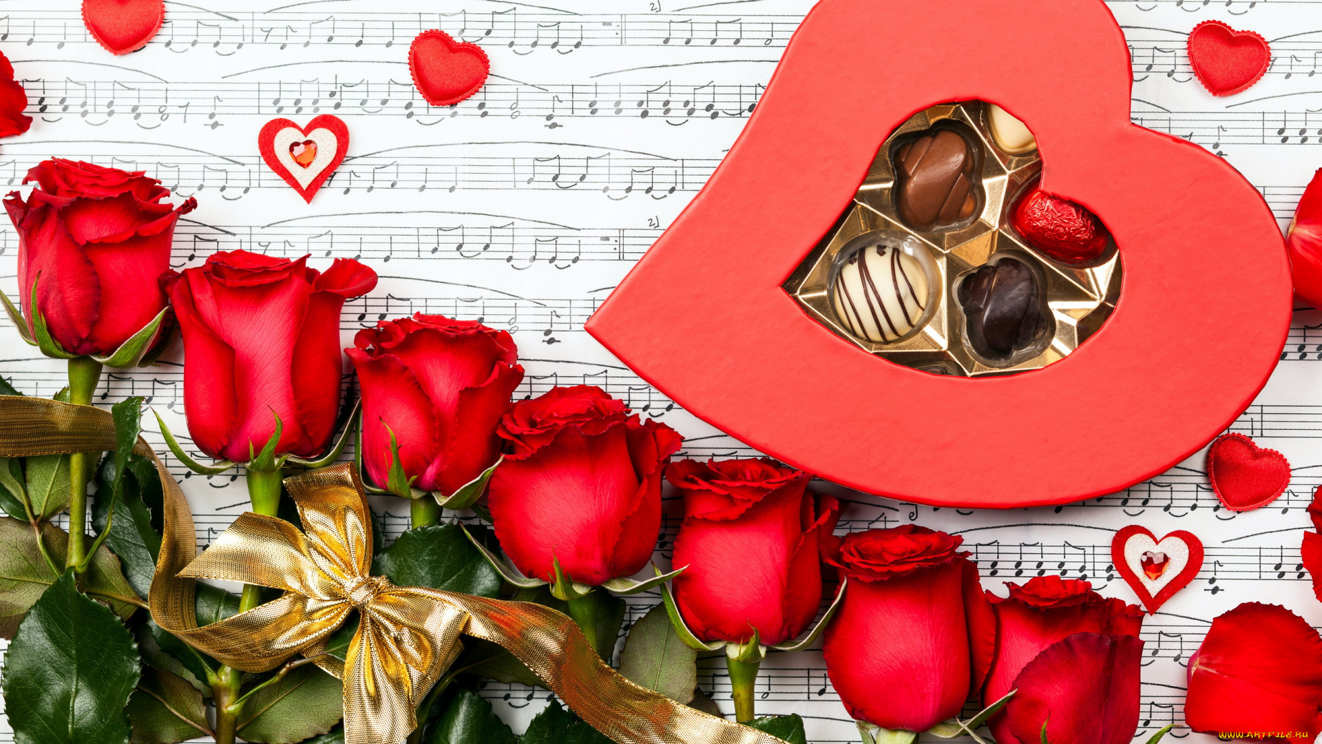 цветы, розы, лента, красный