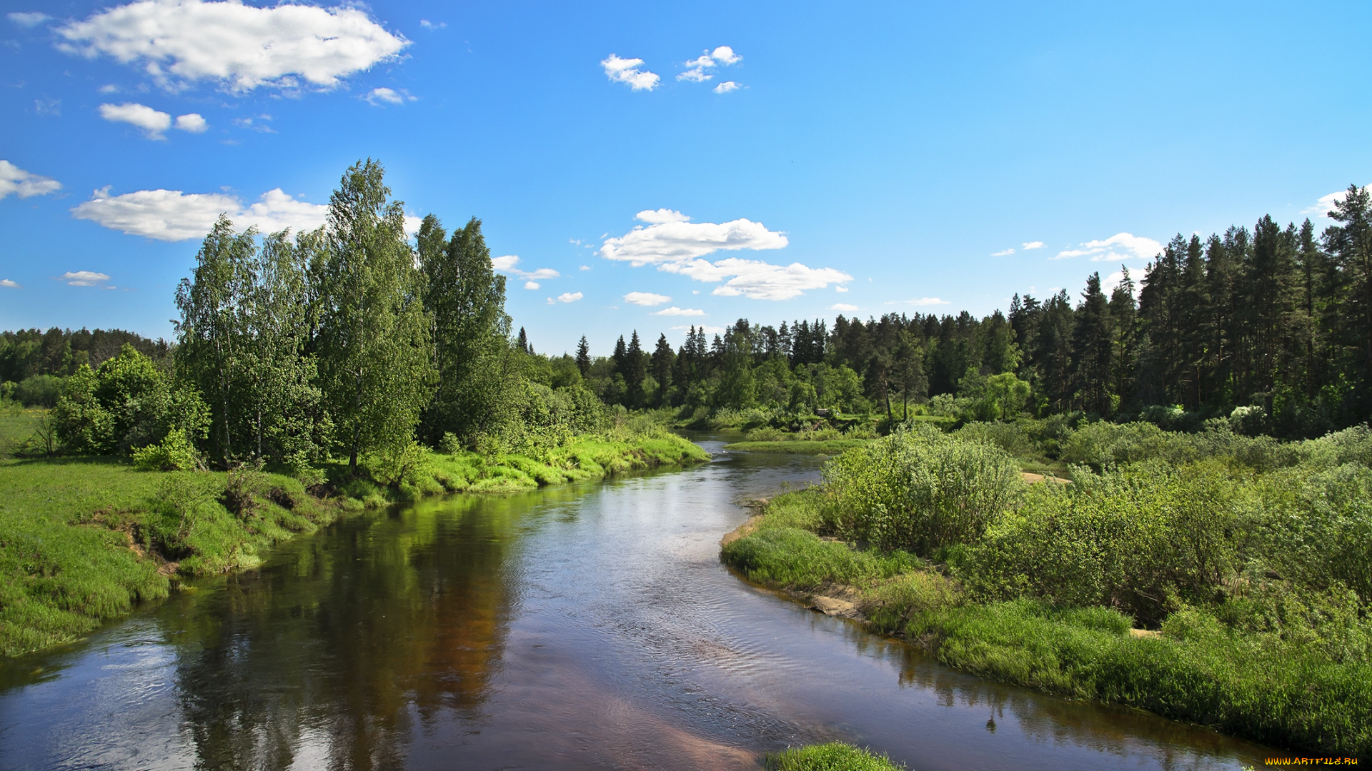 природа, реки, озера, вода, зелень