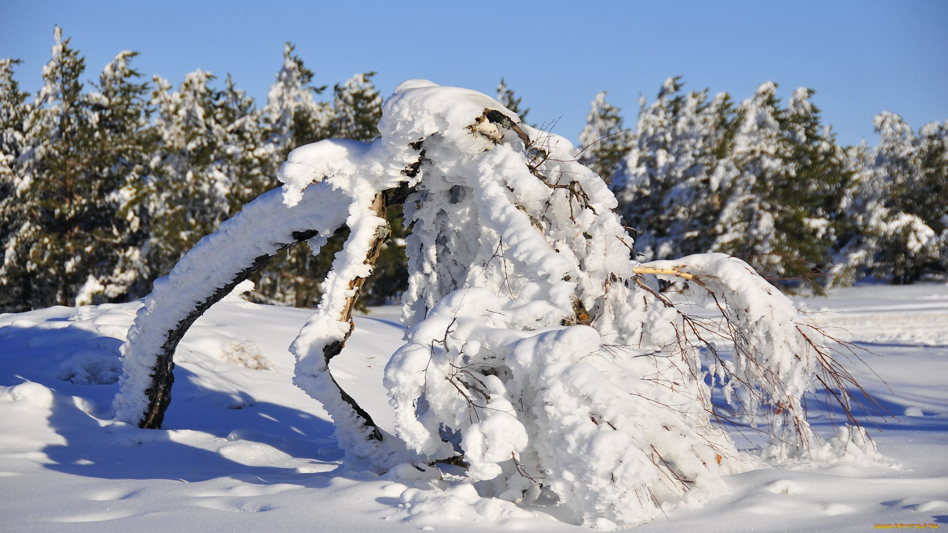 природа, зима, ай-петри, крым, снег