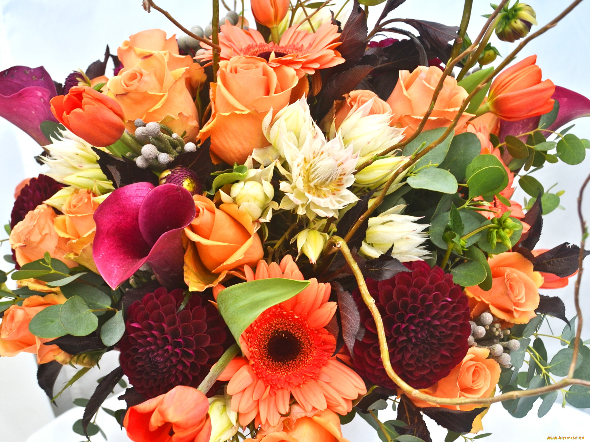 цветы, букеты, , композиции, герберы, розы, георгины, каллы, букет