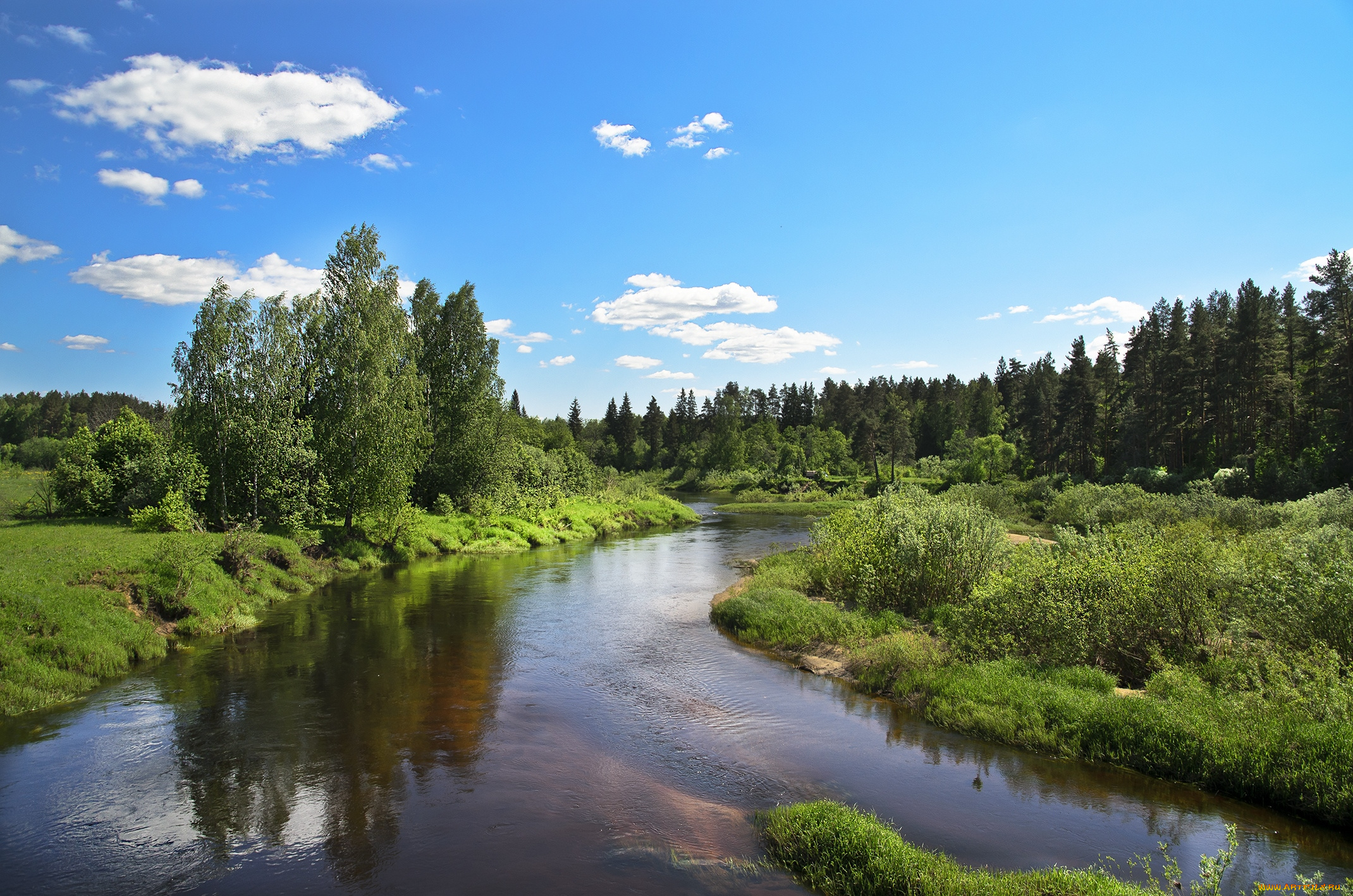 природа, реки, озера, вода, зелень