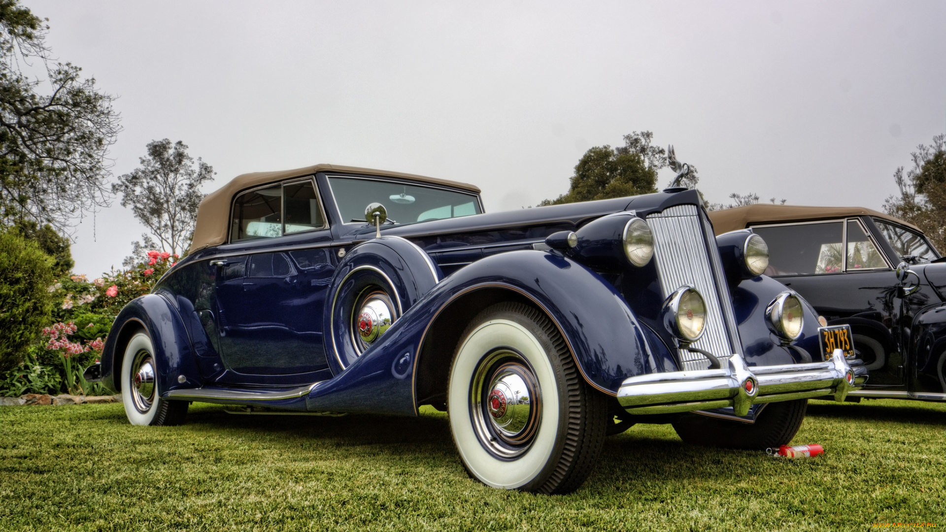 1937, packard, twelve, 1507, coupe, roadster, автомобили, выставки, и, уличные, фото, автошоу, выставка