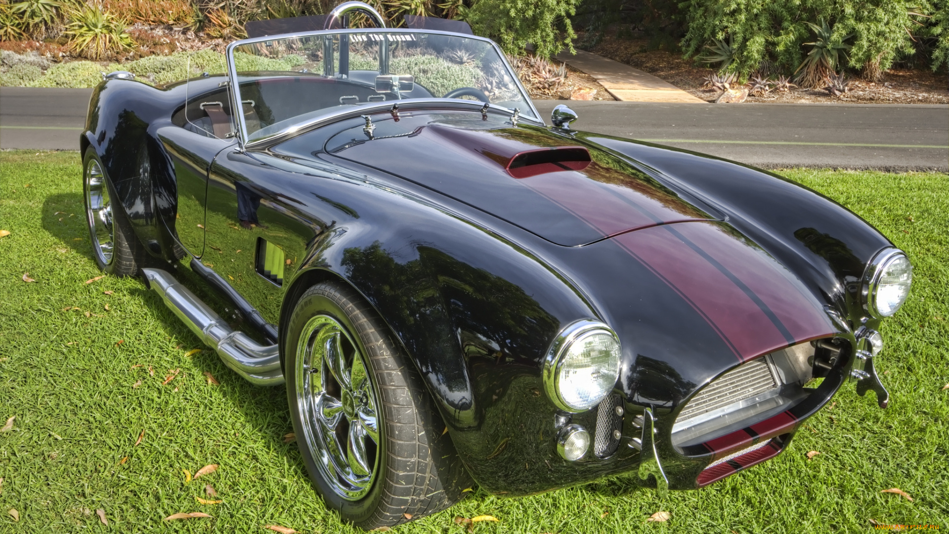 автомобили, выставки, и, уличные, фото, автошоу, выставка