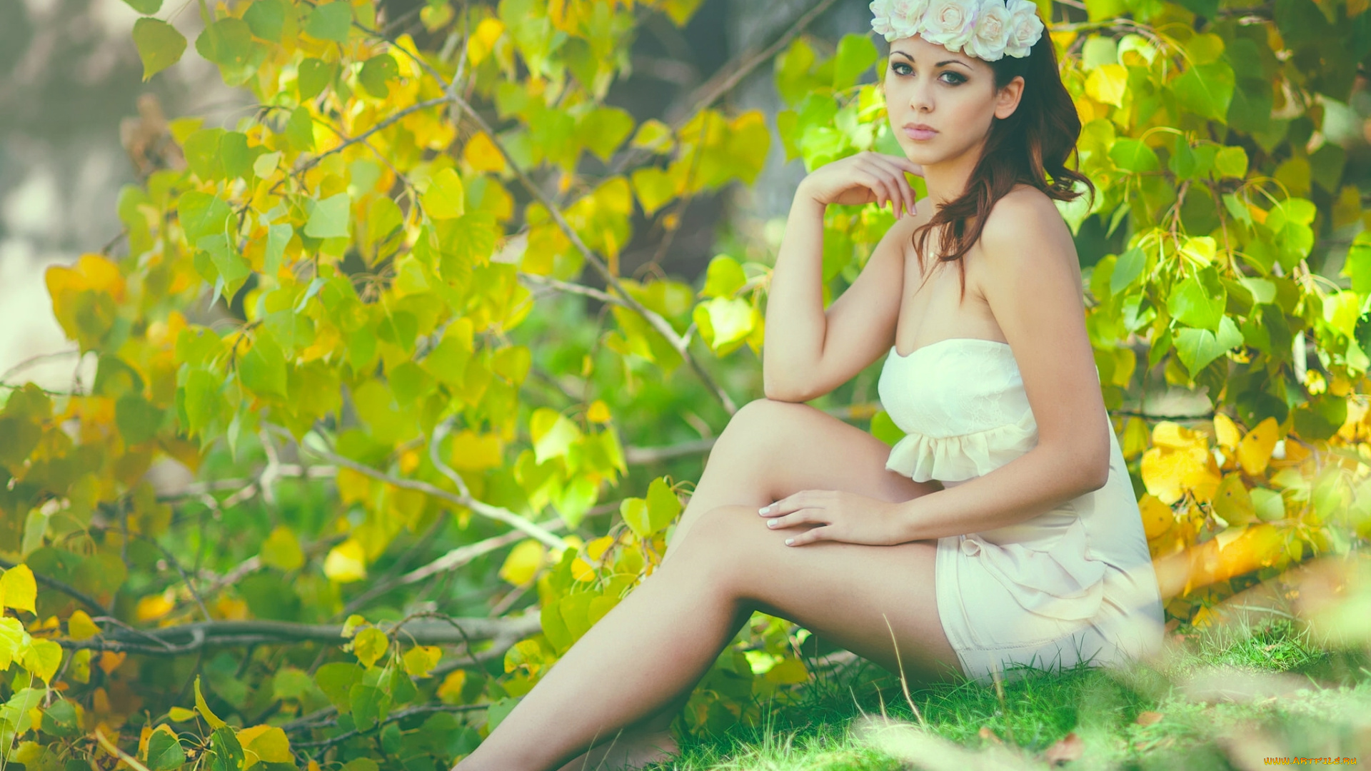 девушки, vanessa, gil, vanessa, gil, платье, ноги, венок, розы, дерево, ветки, лето