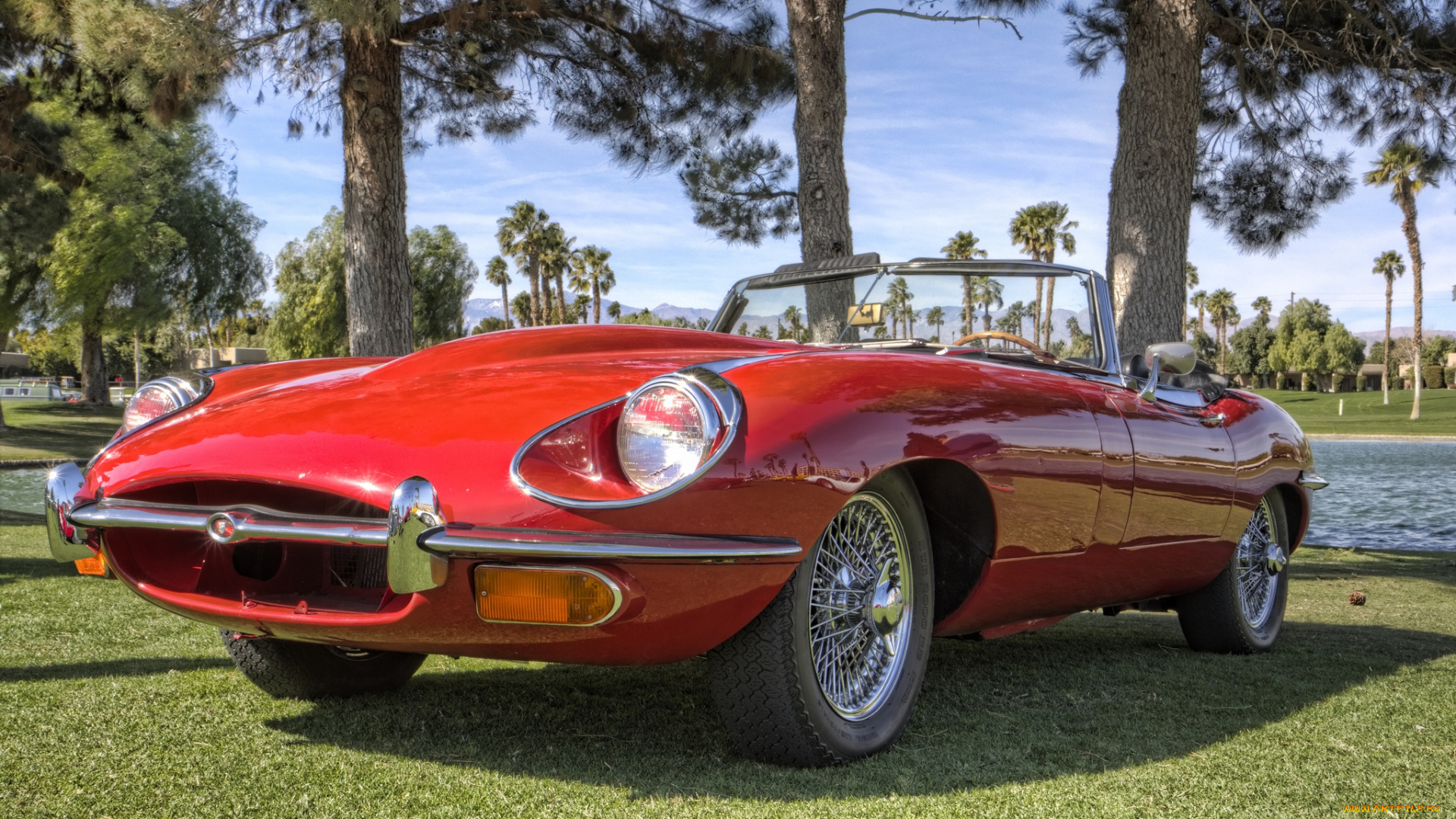 jaguar, e-type, series, ii, автомобили, выставки, и, уличные, фото, автошоу, выставка