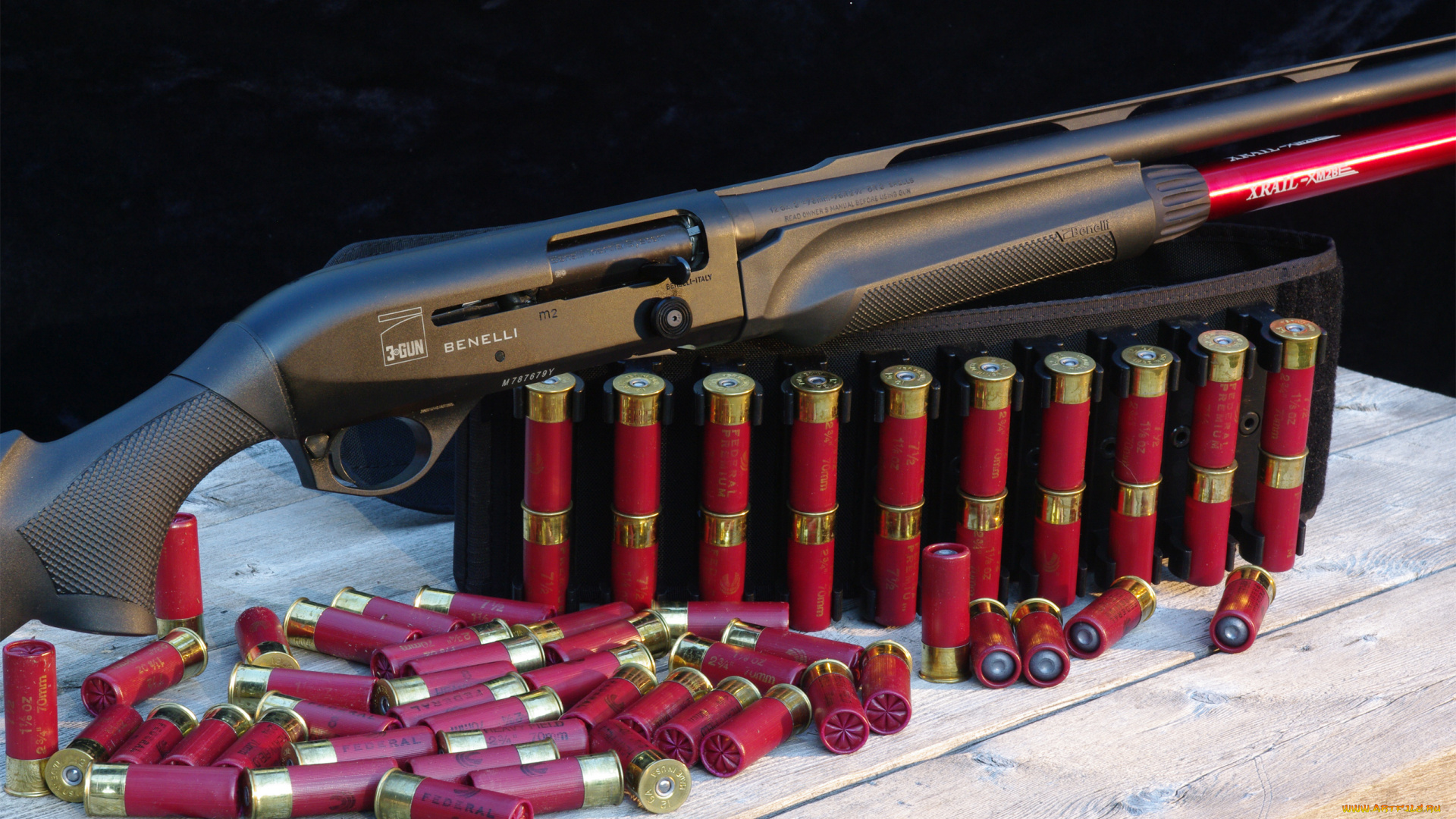 оружие, дробовики, shootgun