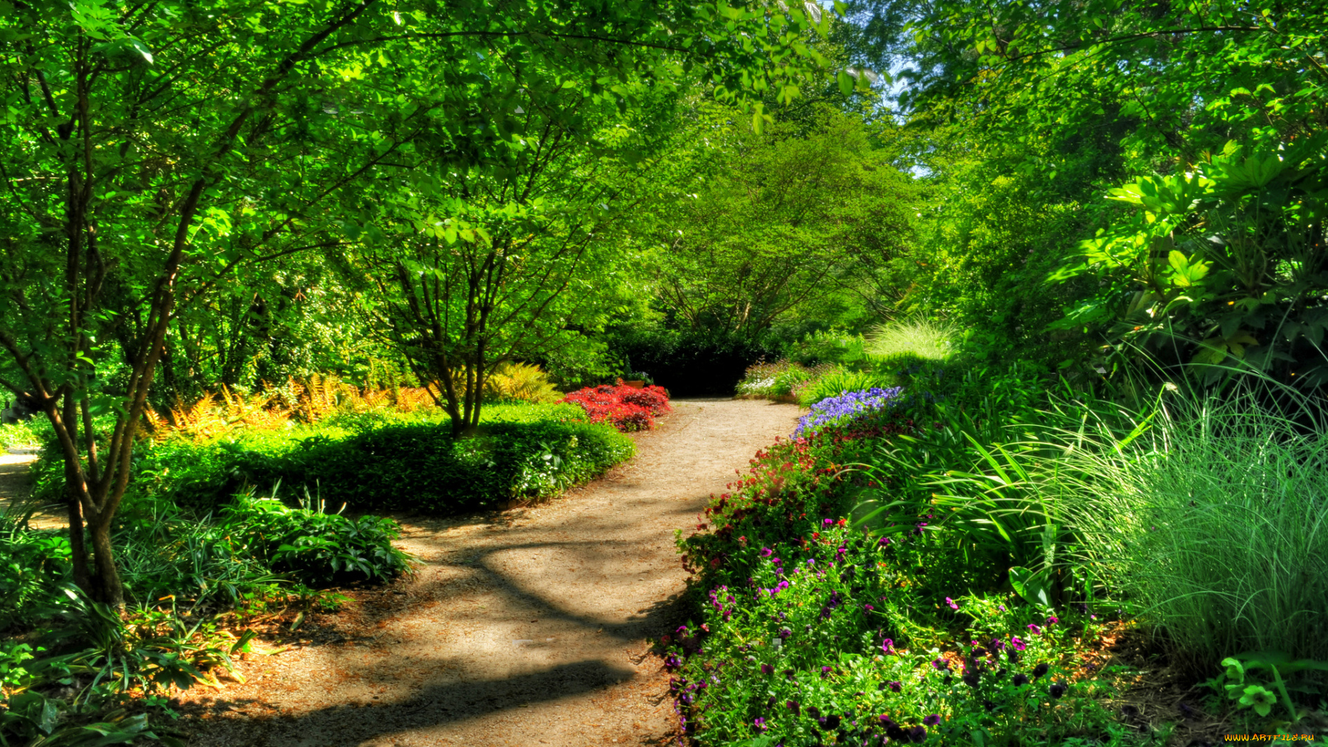 природа, дороги, тропинка, парк