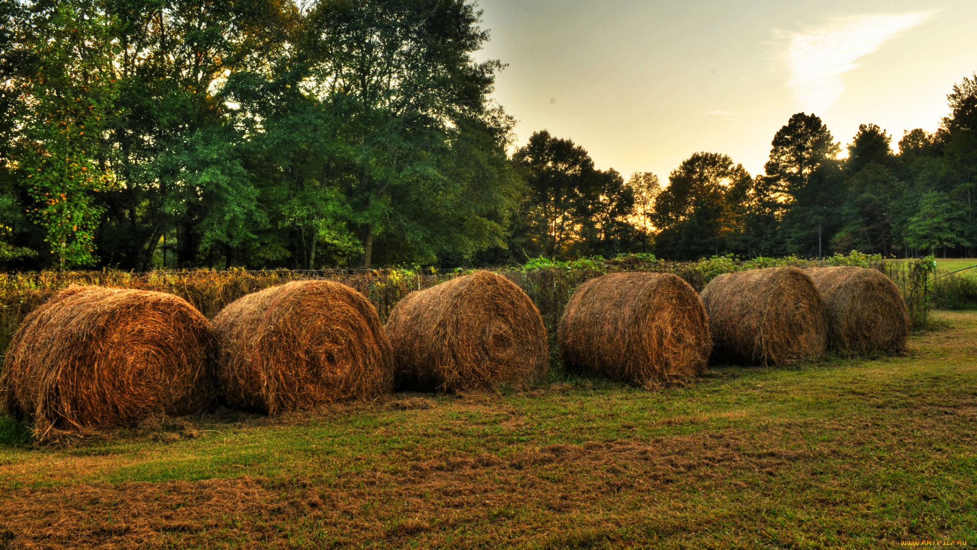 природа, пейзажи, поле, снопы