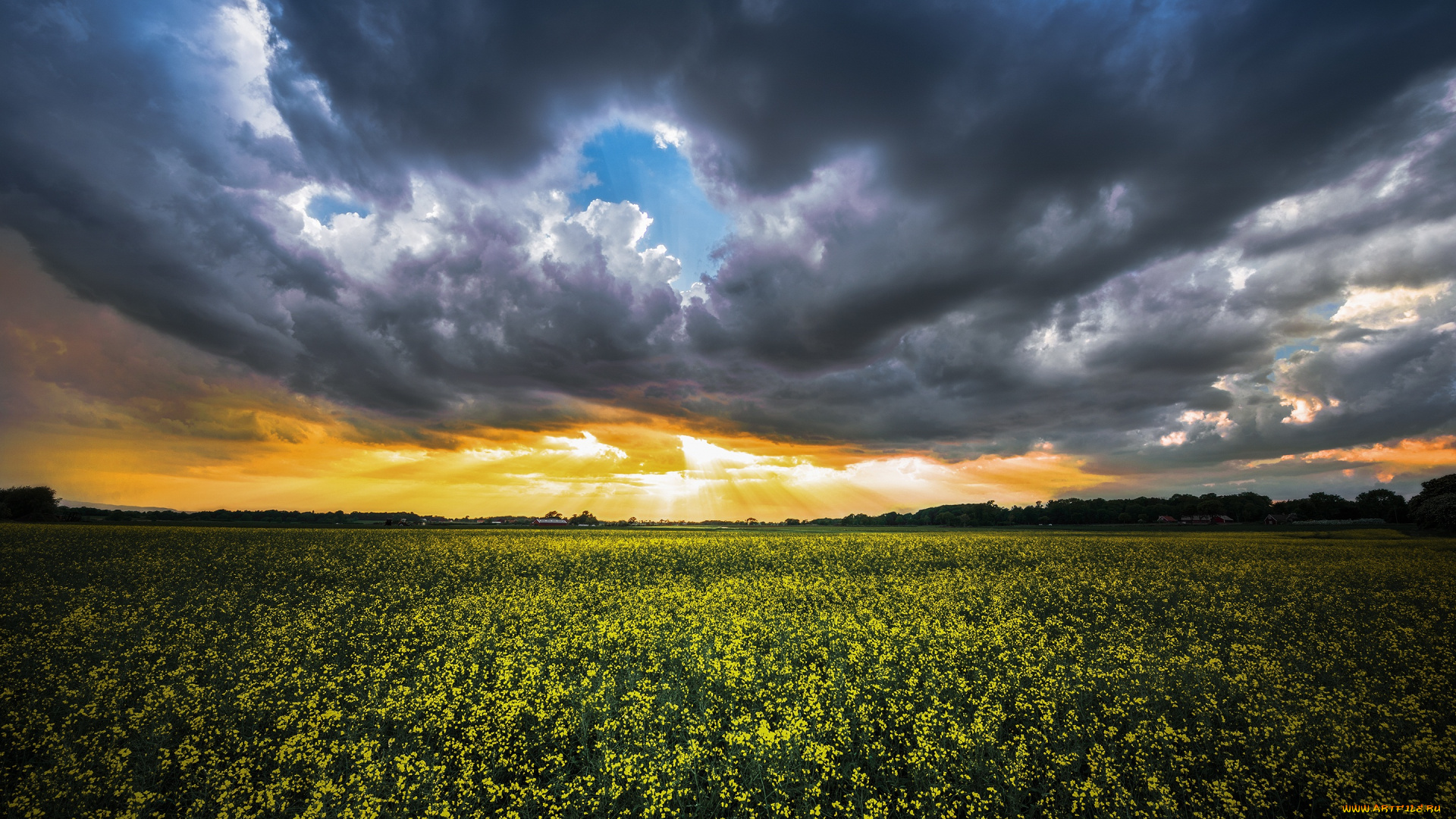 природа, поля, гроза, лето, поле