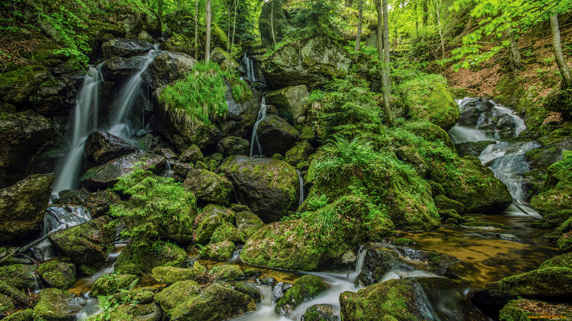 природа, реки, озера, пороги, речка, лес