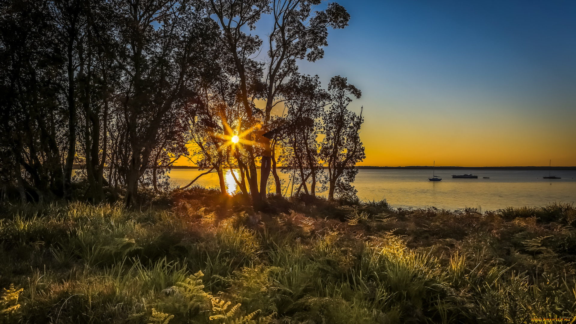 природа, восходы, закаты, солнце, деревья, вечер, озеро
