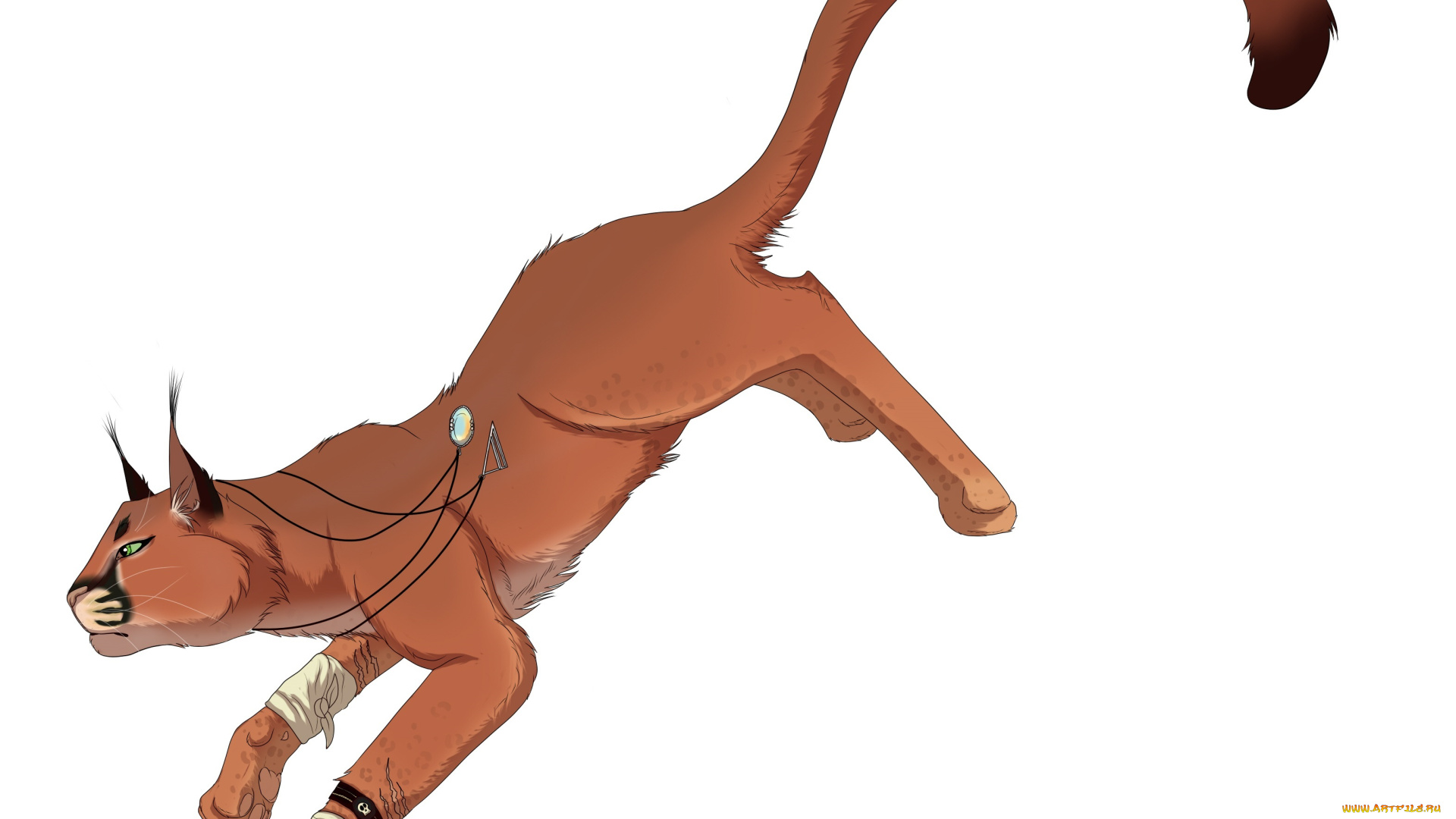 рисованное, животные, , пумы, фон, пума