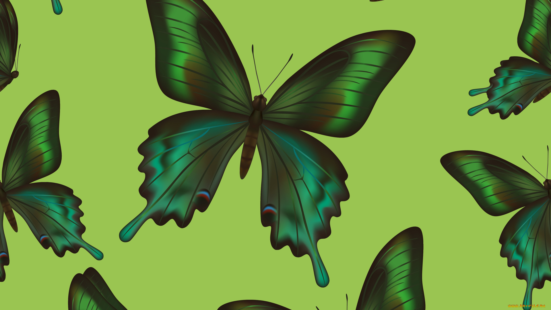 векторная, графика, животные, background, butterflies, texture, фон, бабочки