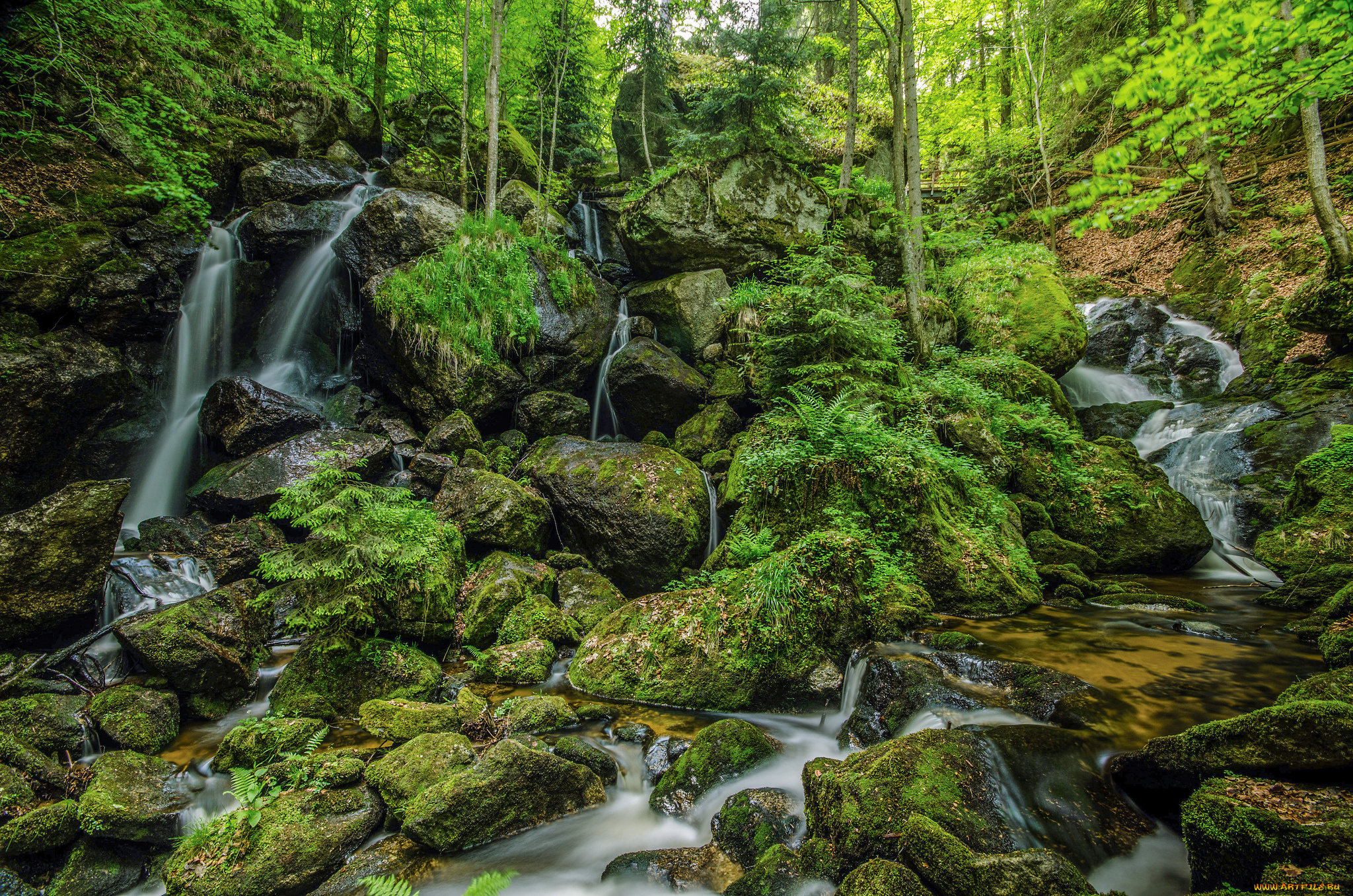 природа, реки, озера, пороги, речка, лес