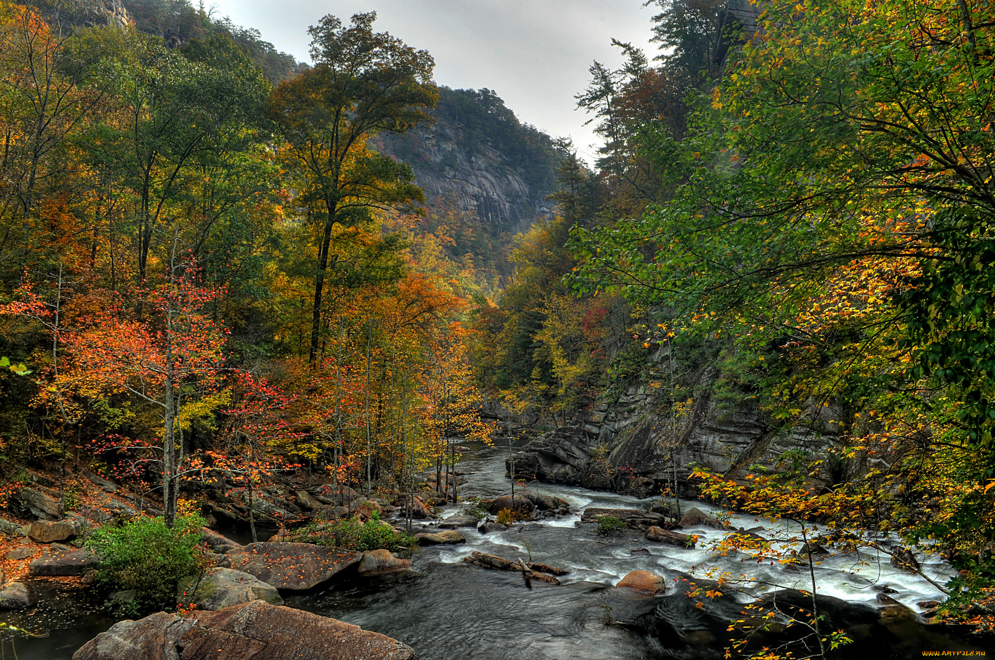 природа, реки, озера, река, лес, горы