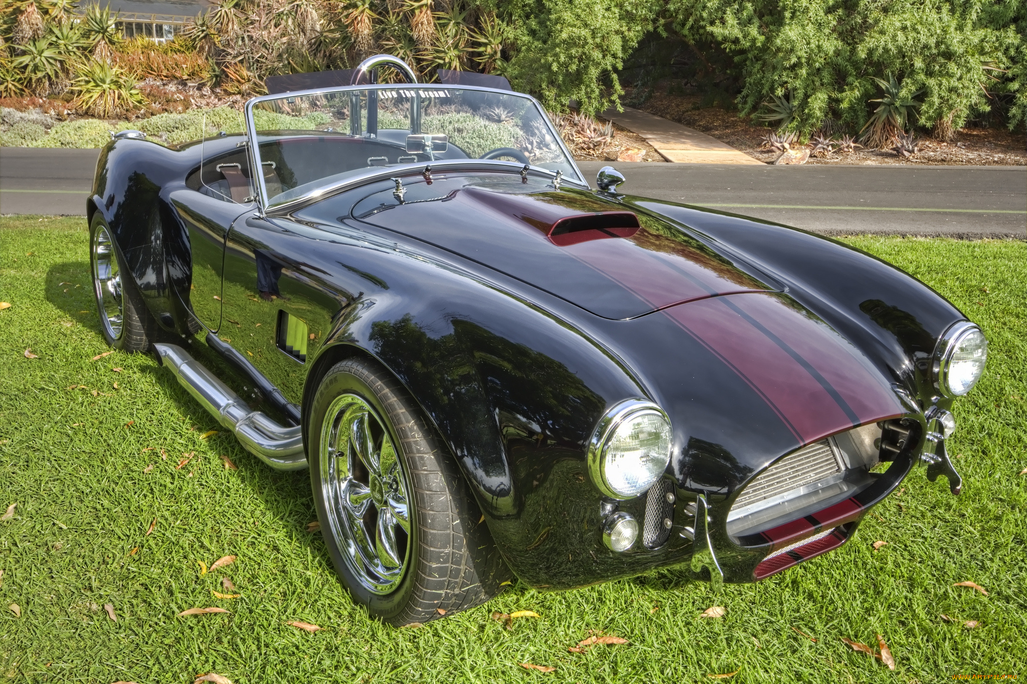 автомобили, выставки, и, уличные, фото, автошоу, выставка