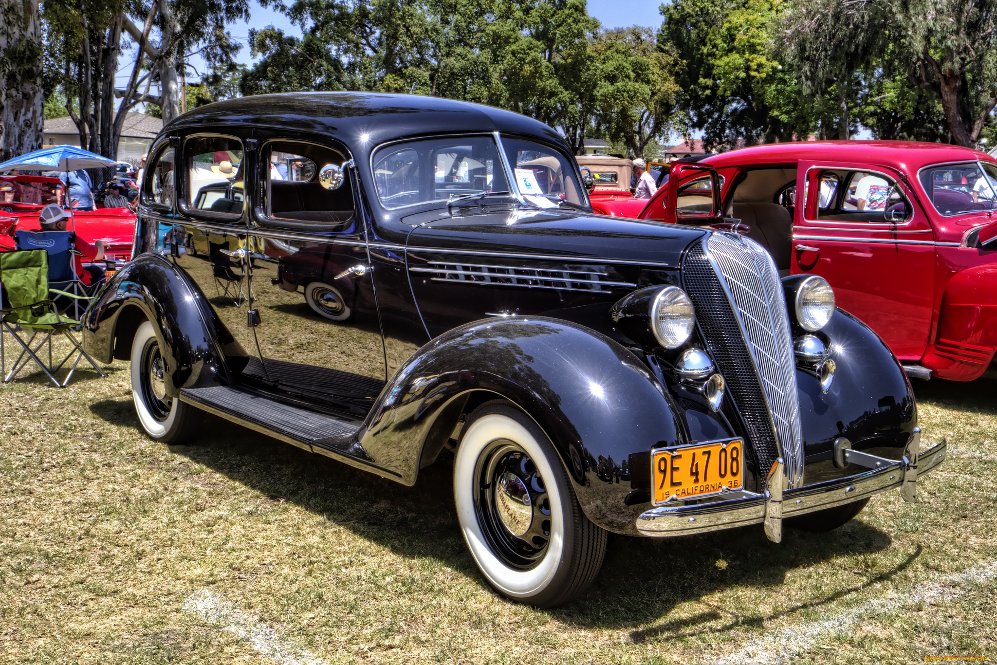 1936, terraplane, автомобили, выставки, и, уличные, фото, автошоу, выставка