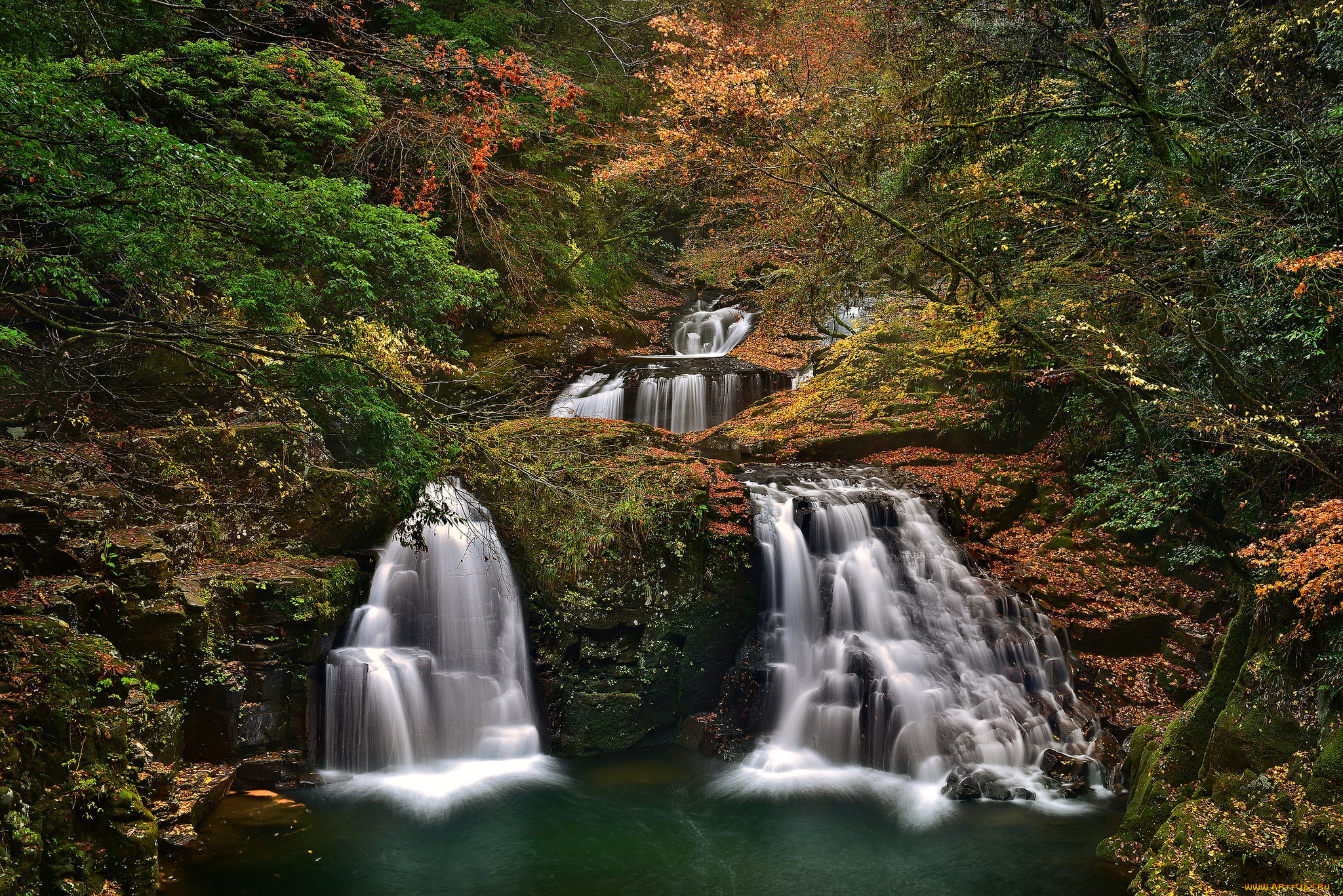 природа, водопады, водопад, река, лес