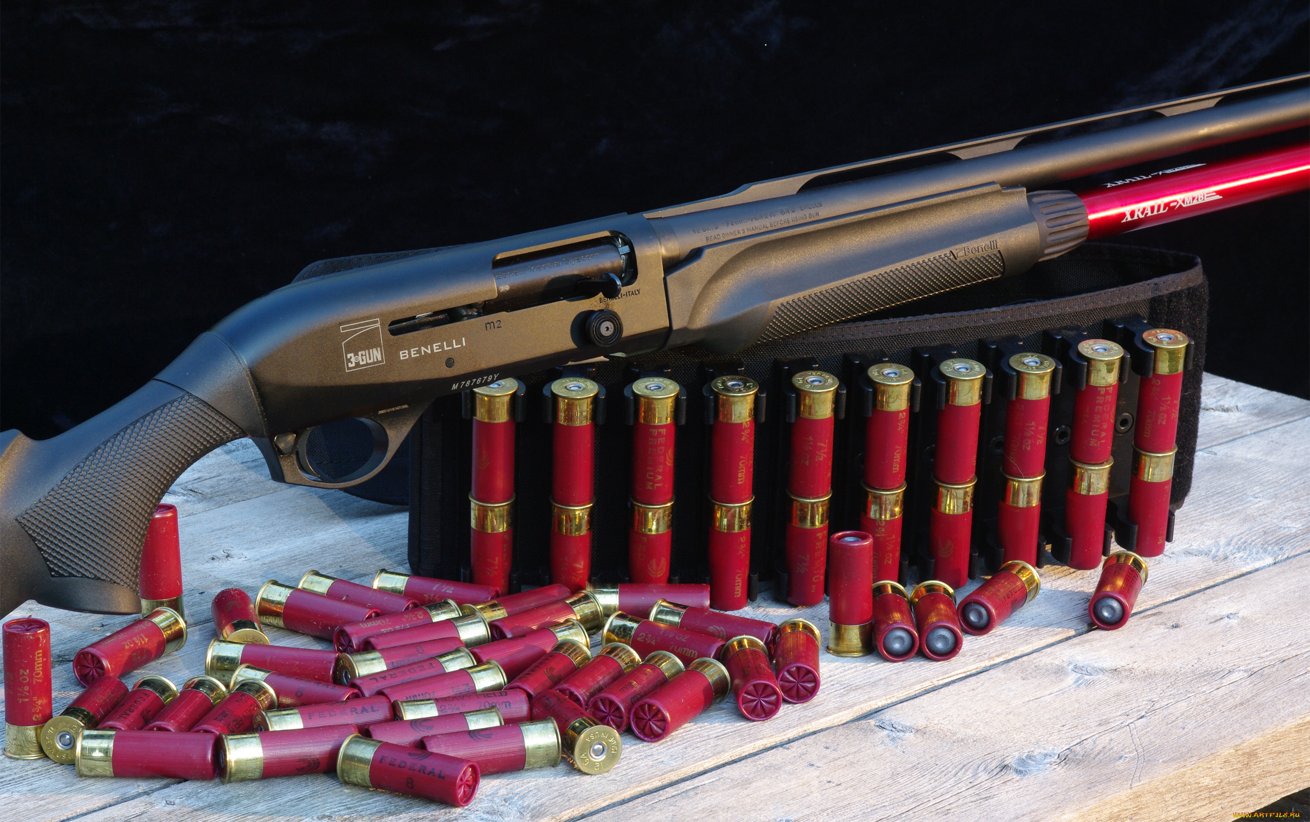 оружие, дробовики, shootgun