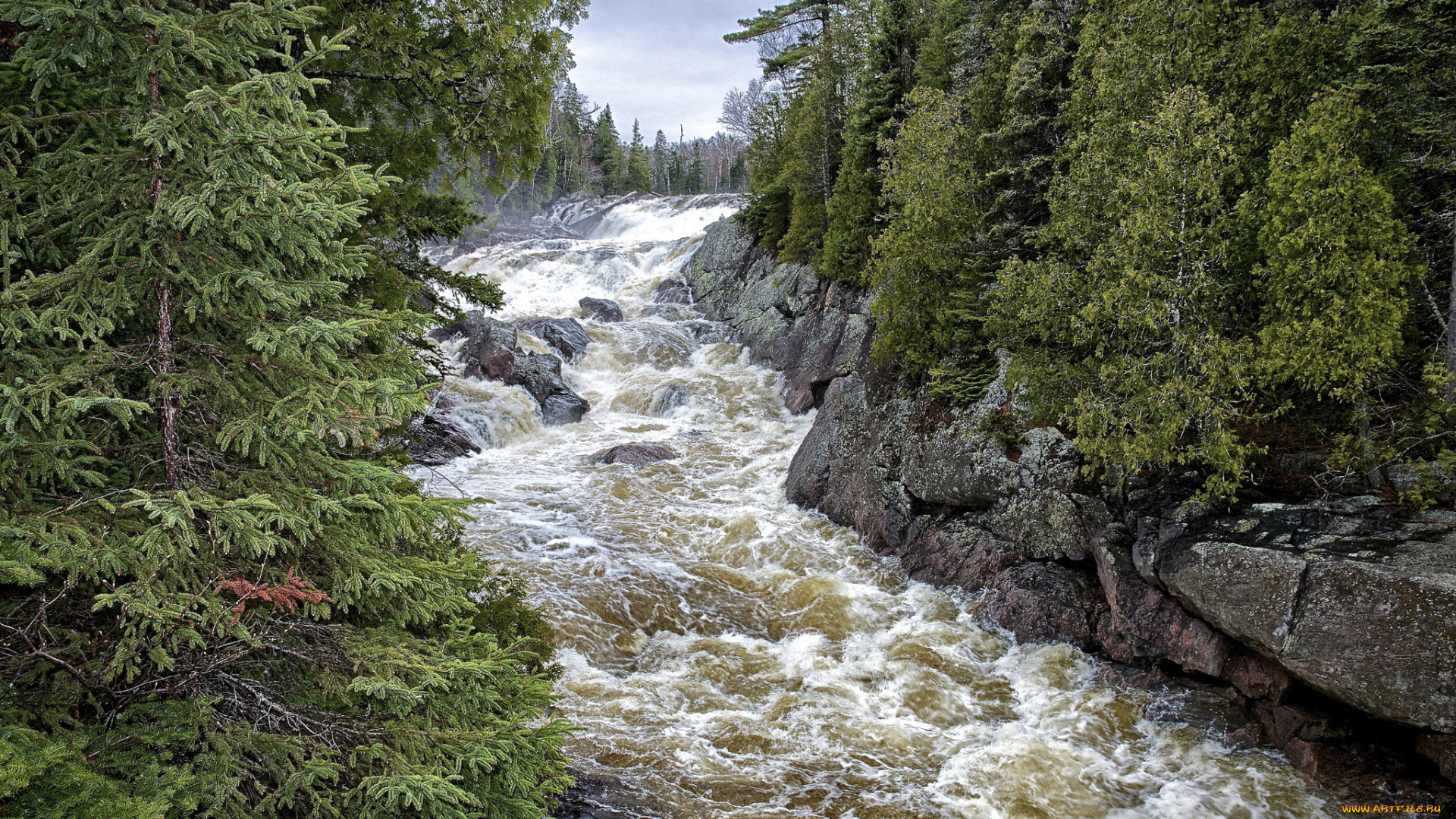 природа, реки, озера, река, лес