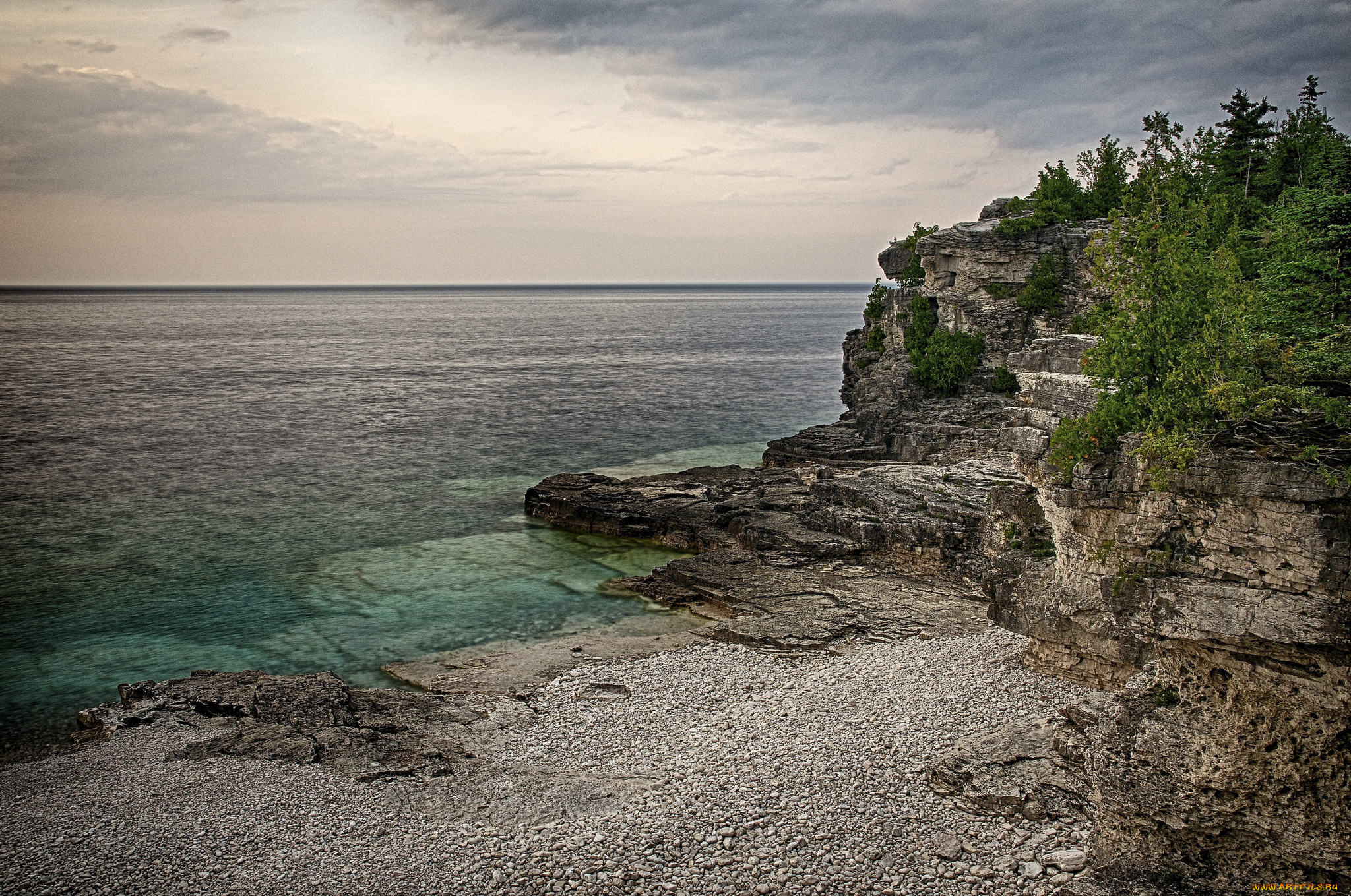 природа, побережье, лес, океан, обрыв