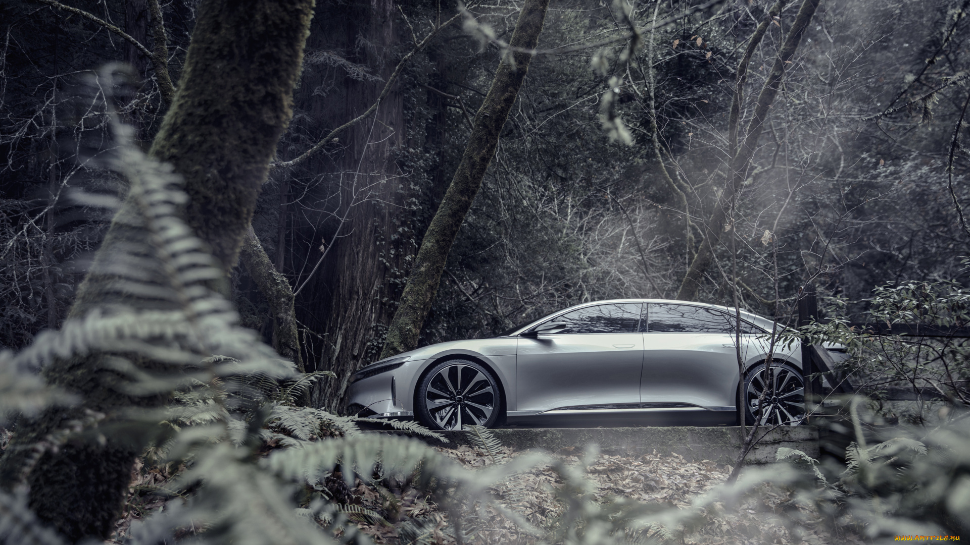 автомобили, -unsort, concept