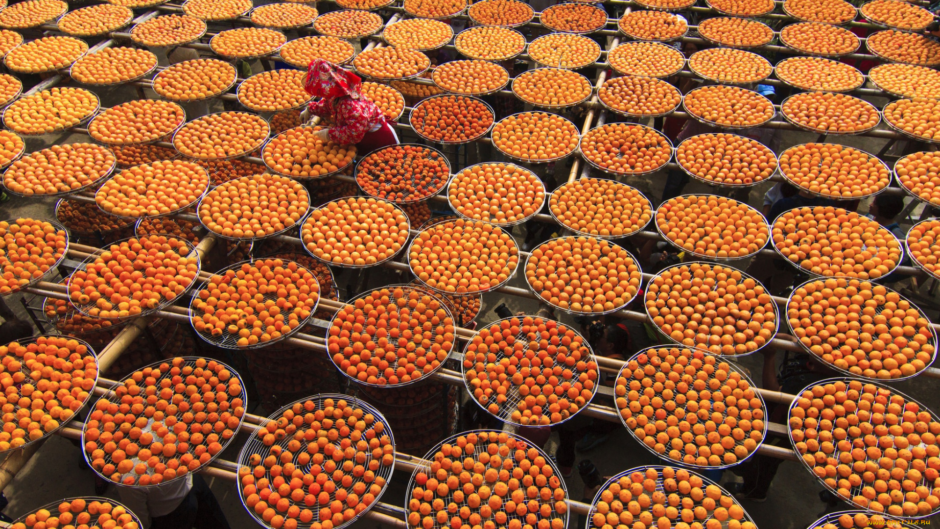 еда, хурма, круги, фрукты