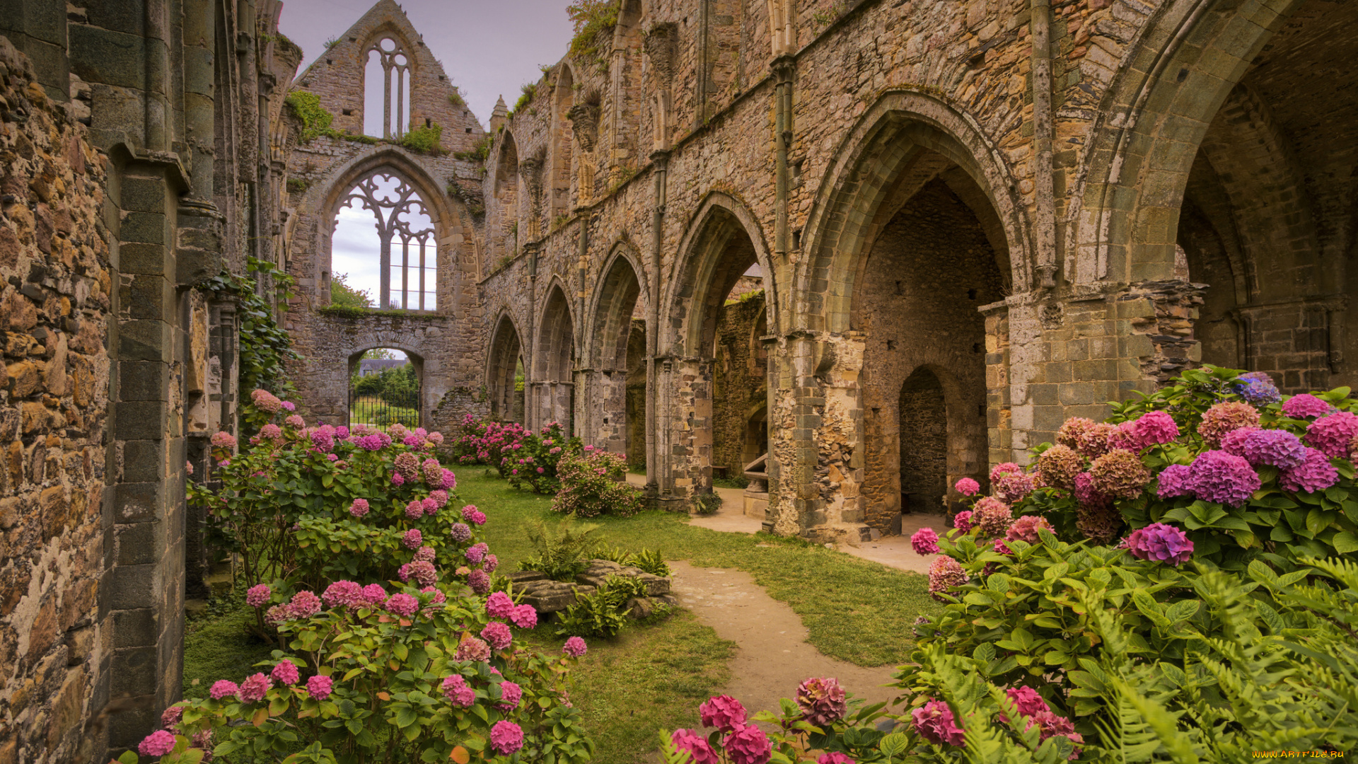 города, -, католические, соборы, , костелы, , аббатства, простор