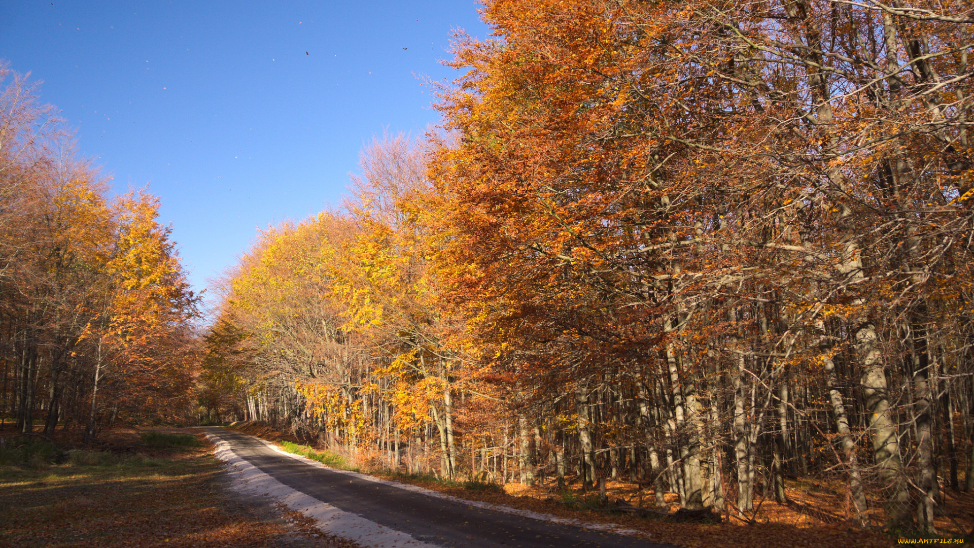 природа, дороги, простор