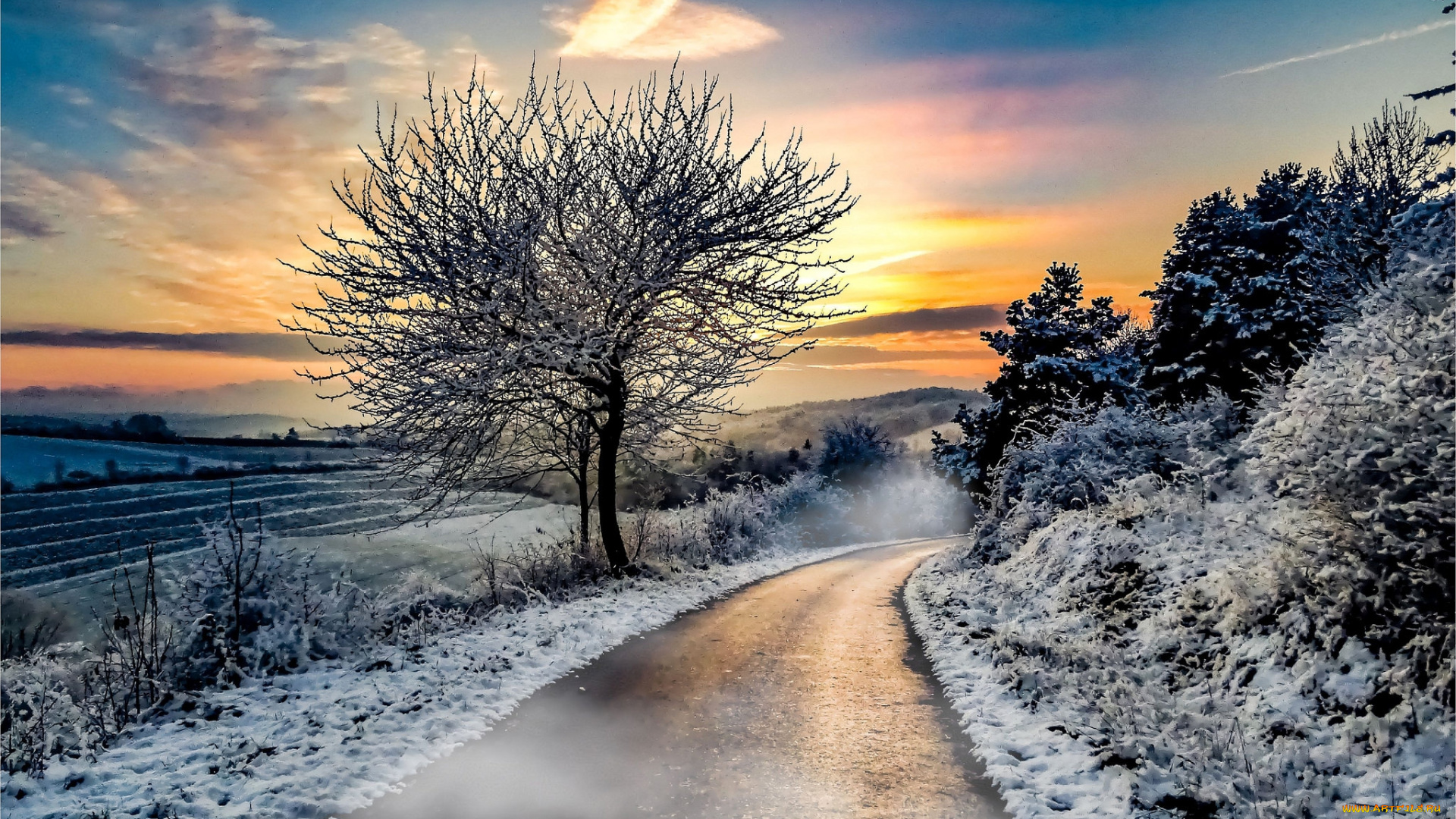 природа, дороги, простор