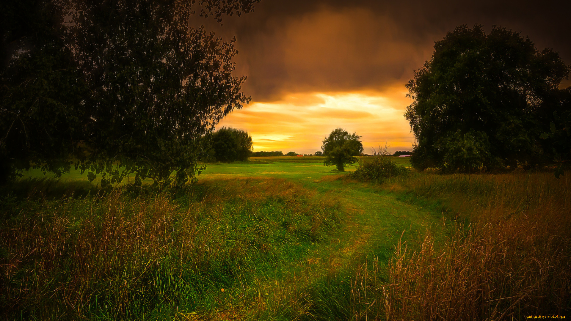 природа, дороги, простор