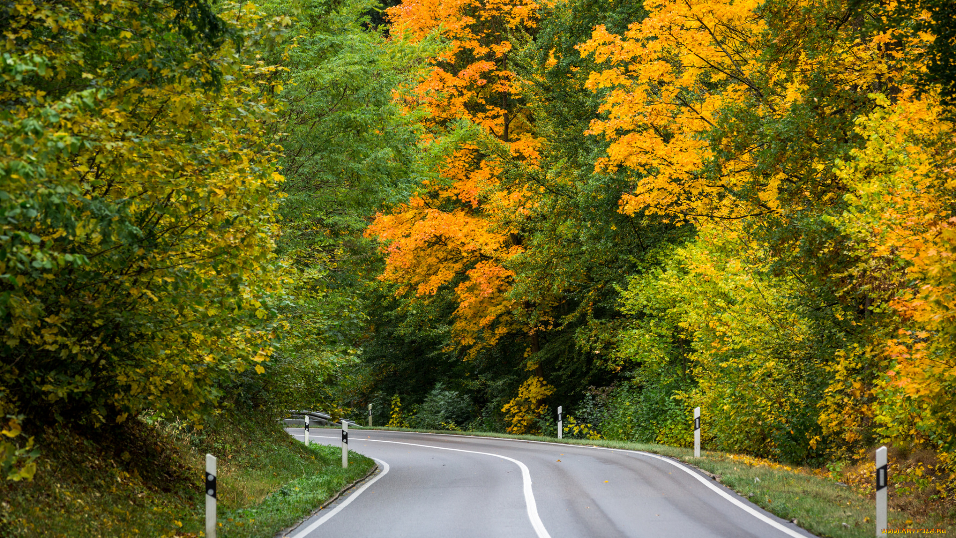 природа, дороги, простор