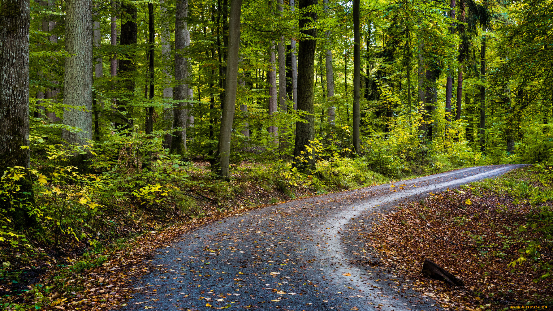 природа, дороги, простор