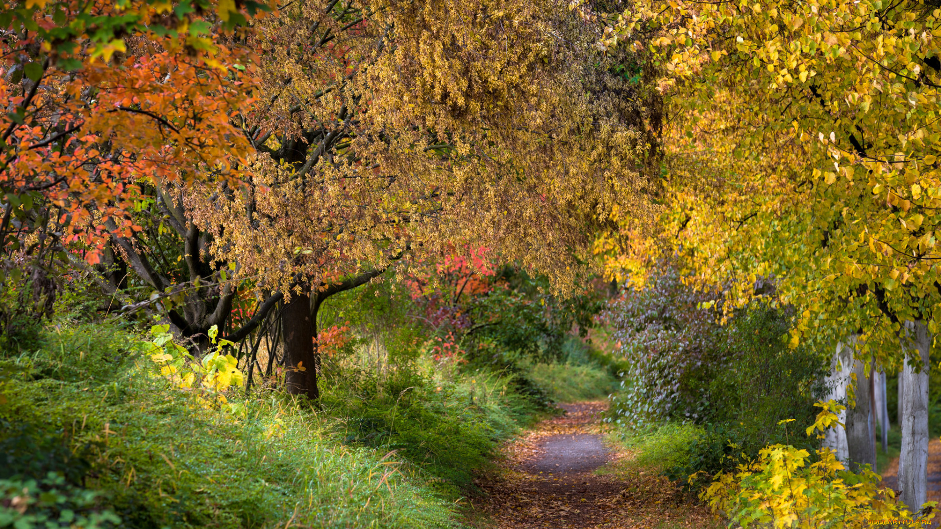 природа, дороги, простор