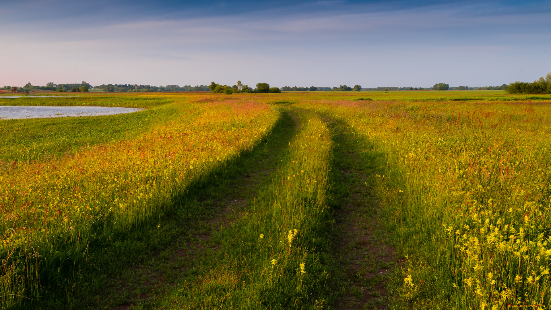 природа, дороги, простор