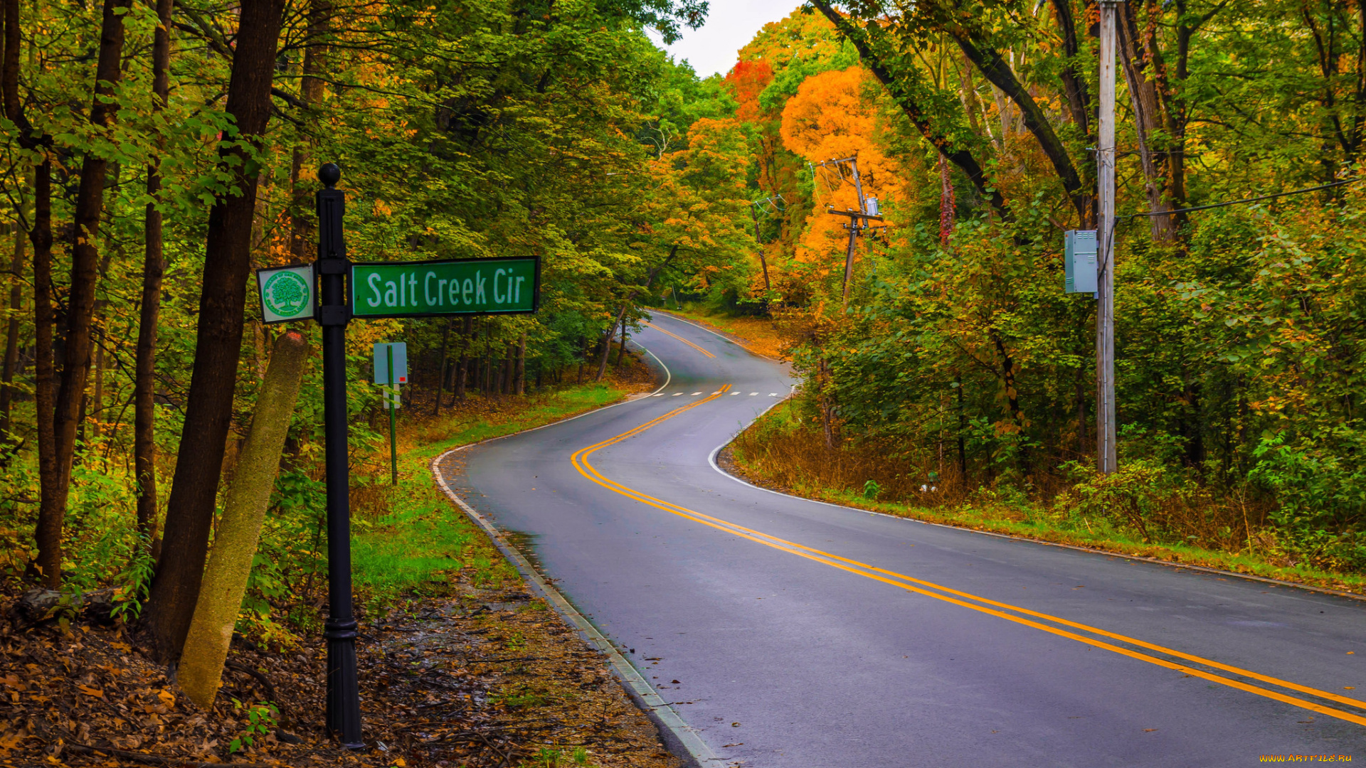 природа, дороги, простор