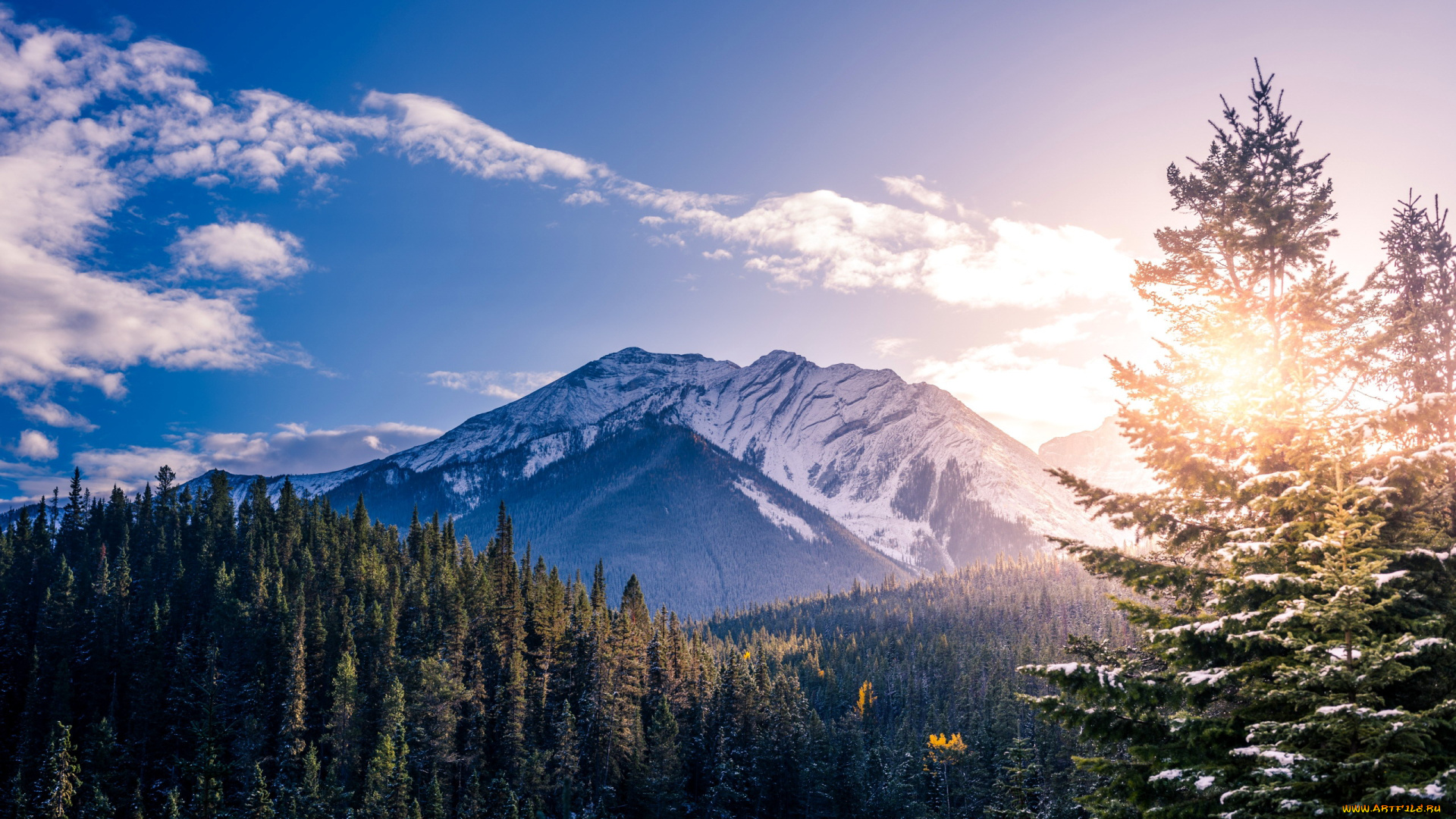 природа, горы, снег, гора, лес, вершина
