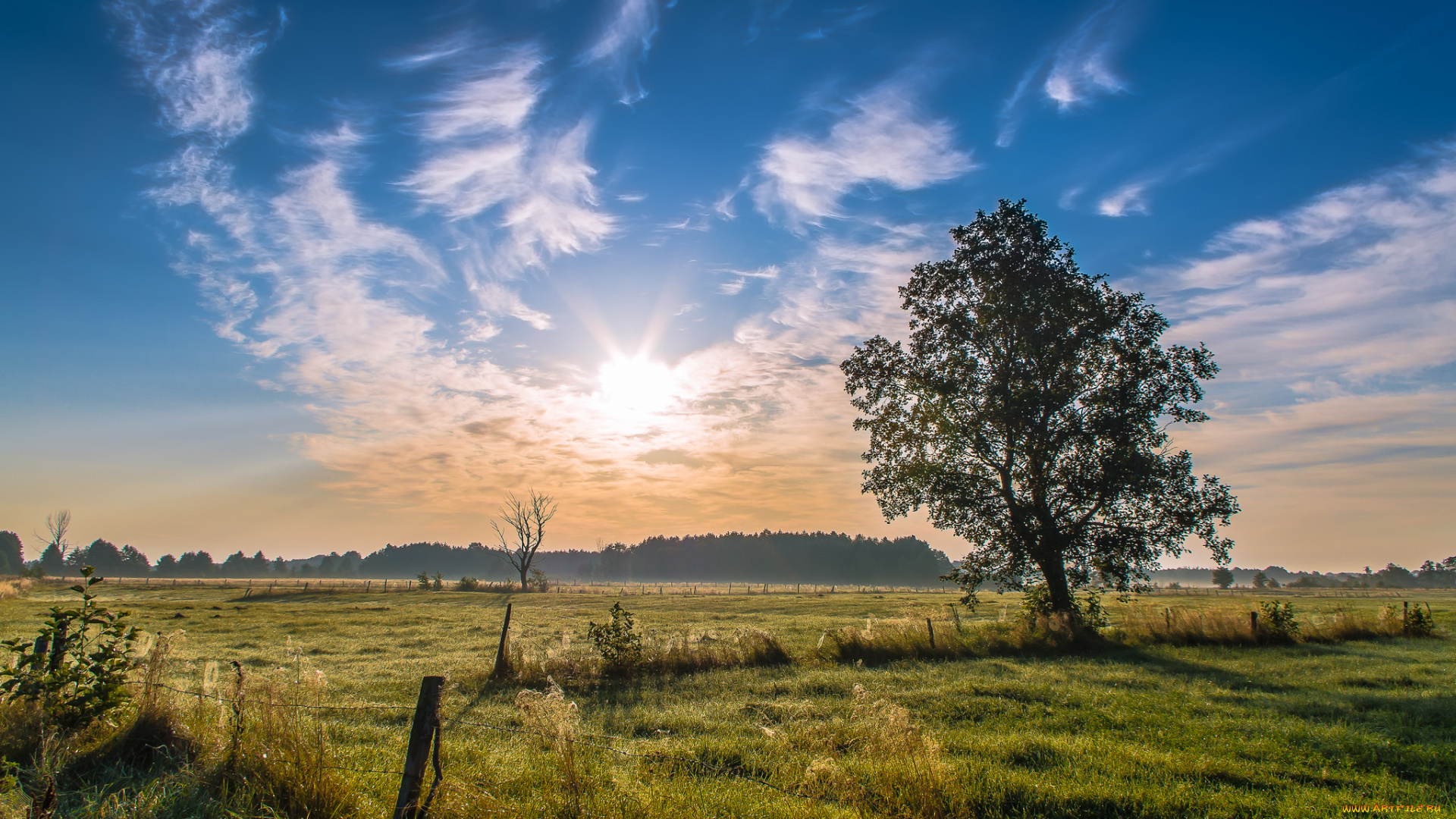 природа, пейзажи, простор