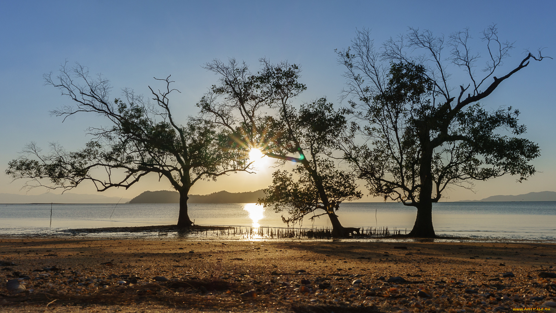 природа, пейзажи, простор