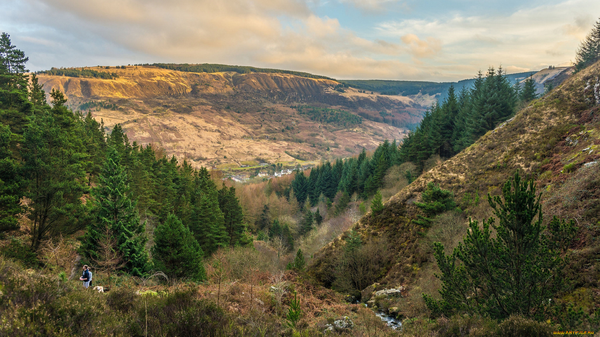 природа, пейзажи, простор