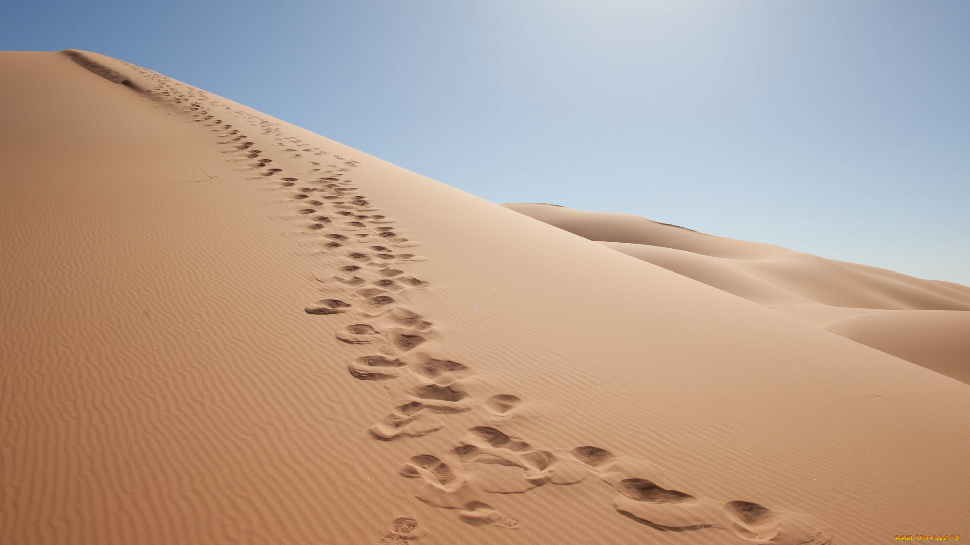 природа, пустыни, простор