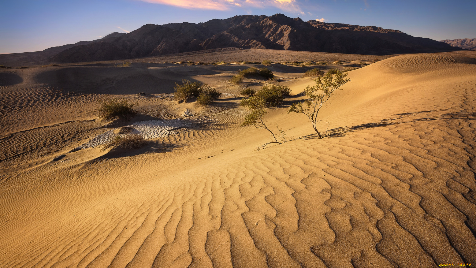 природа, пустыни, простор