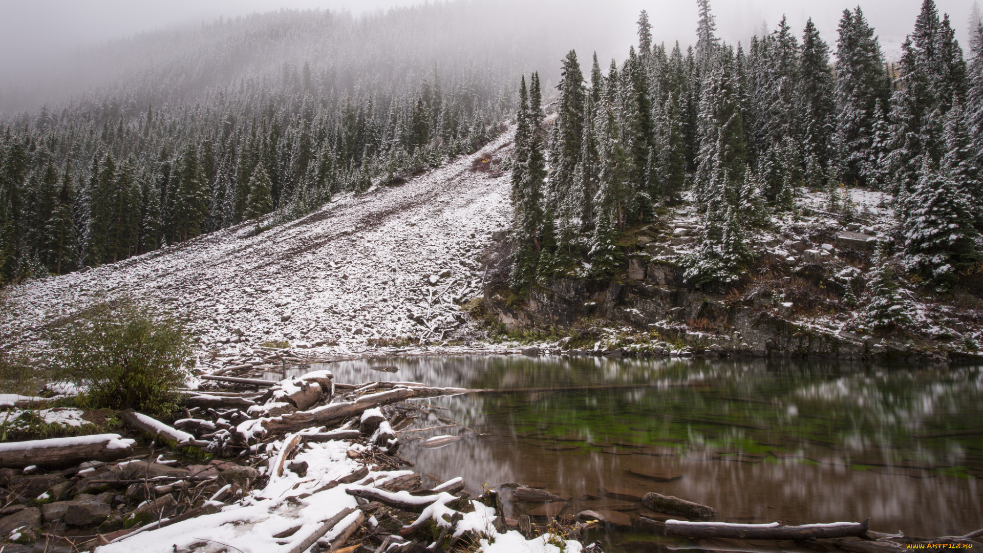 природа, реки, озера, простор