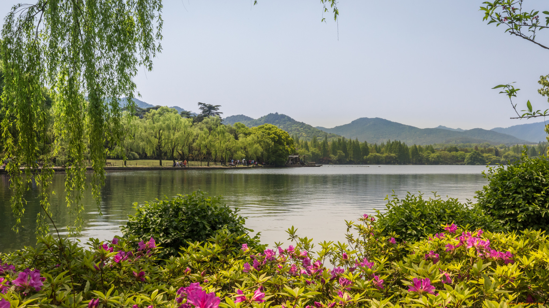 природа, реки, озера, простор