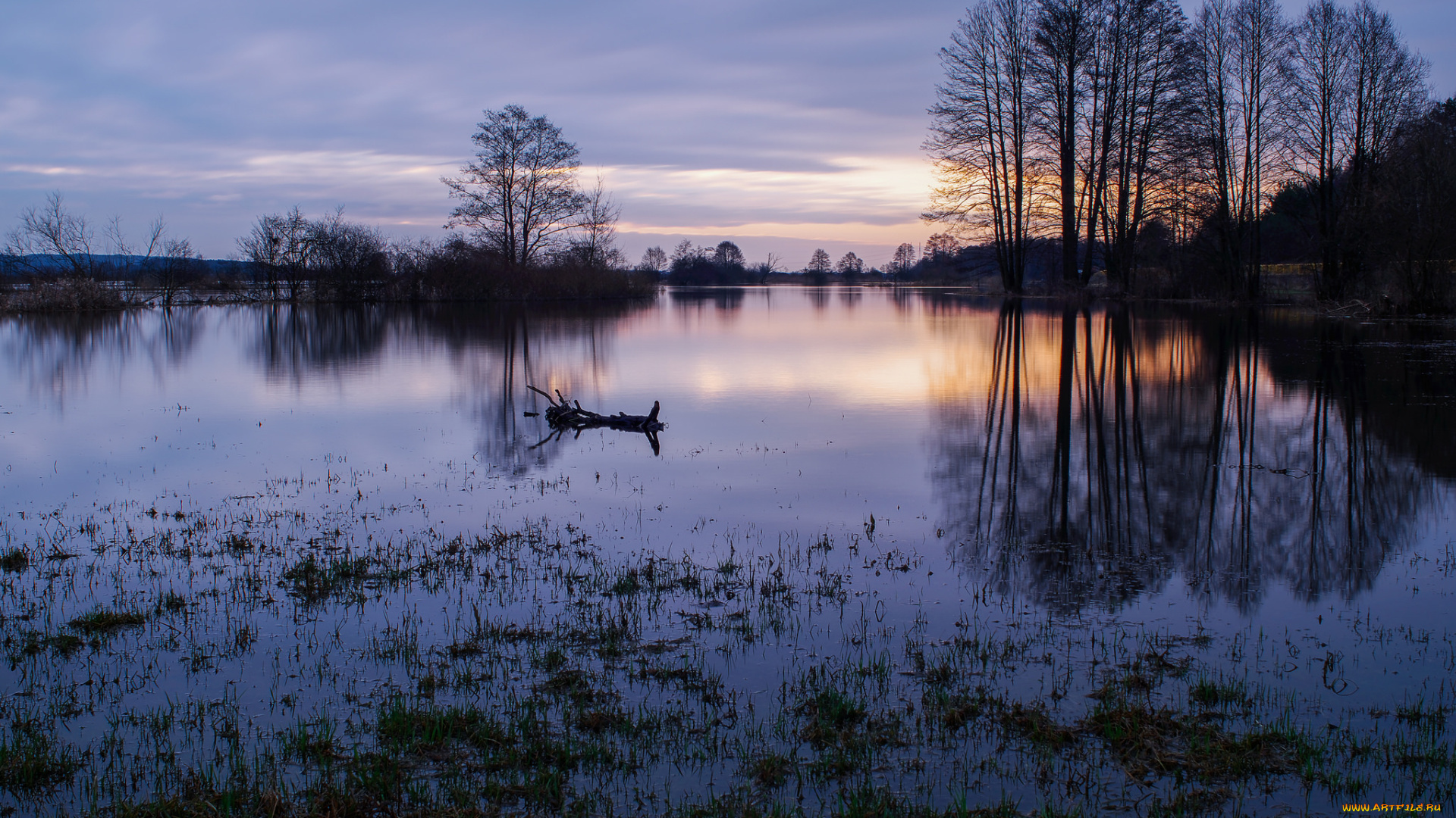 природа, реки, озера, простор