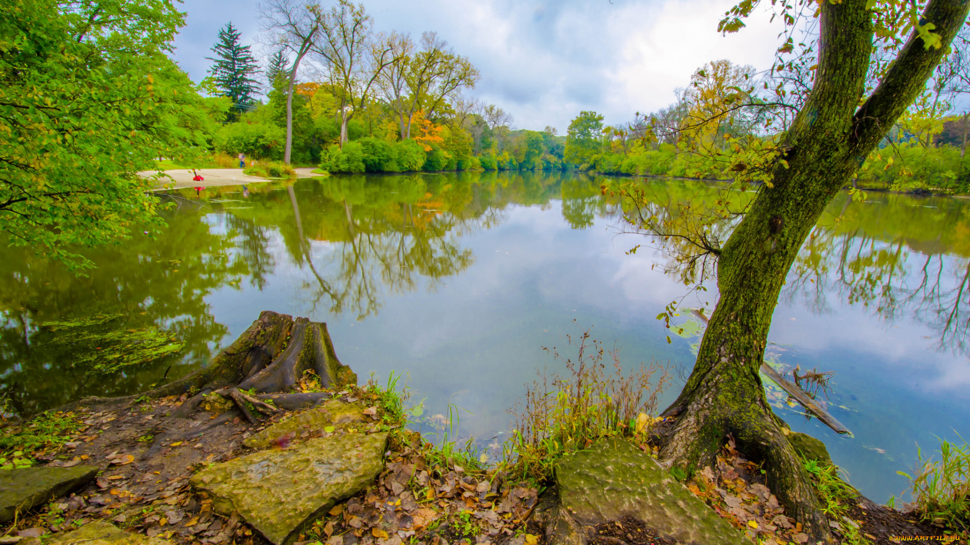 природа, реки, озера, простор