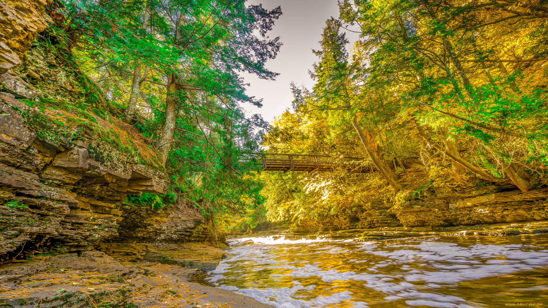 природа, реки, озера, простор