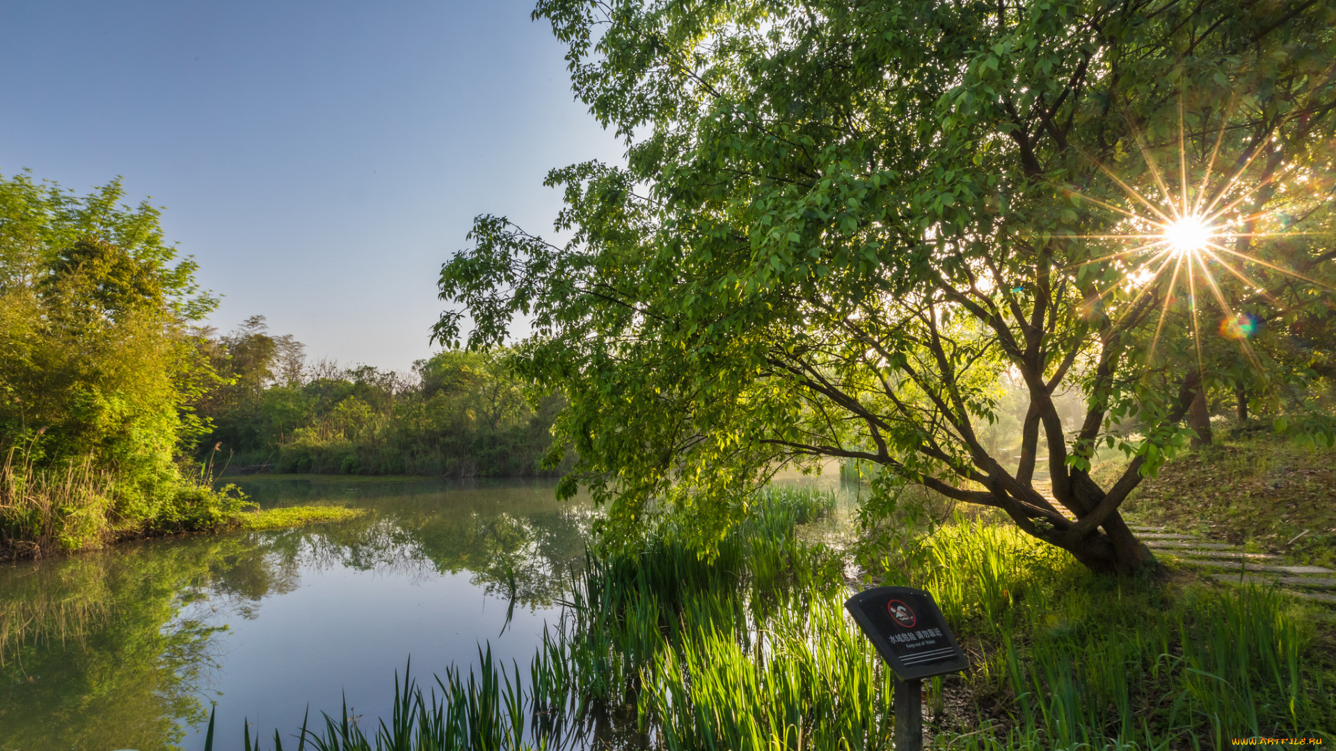 природа, реки, озера, простор