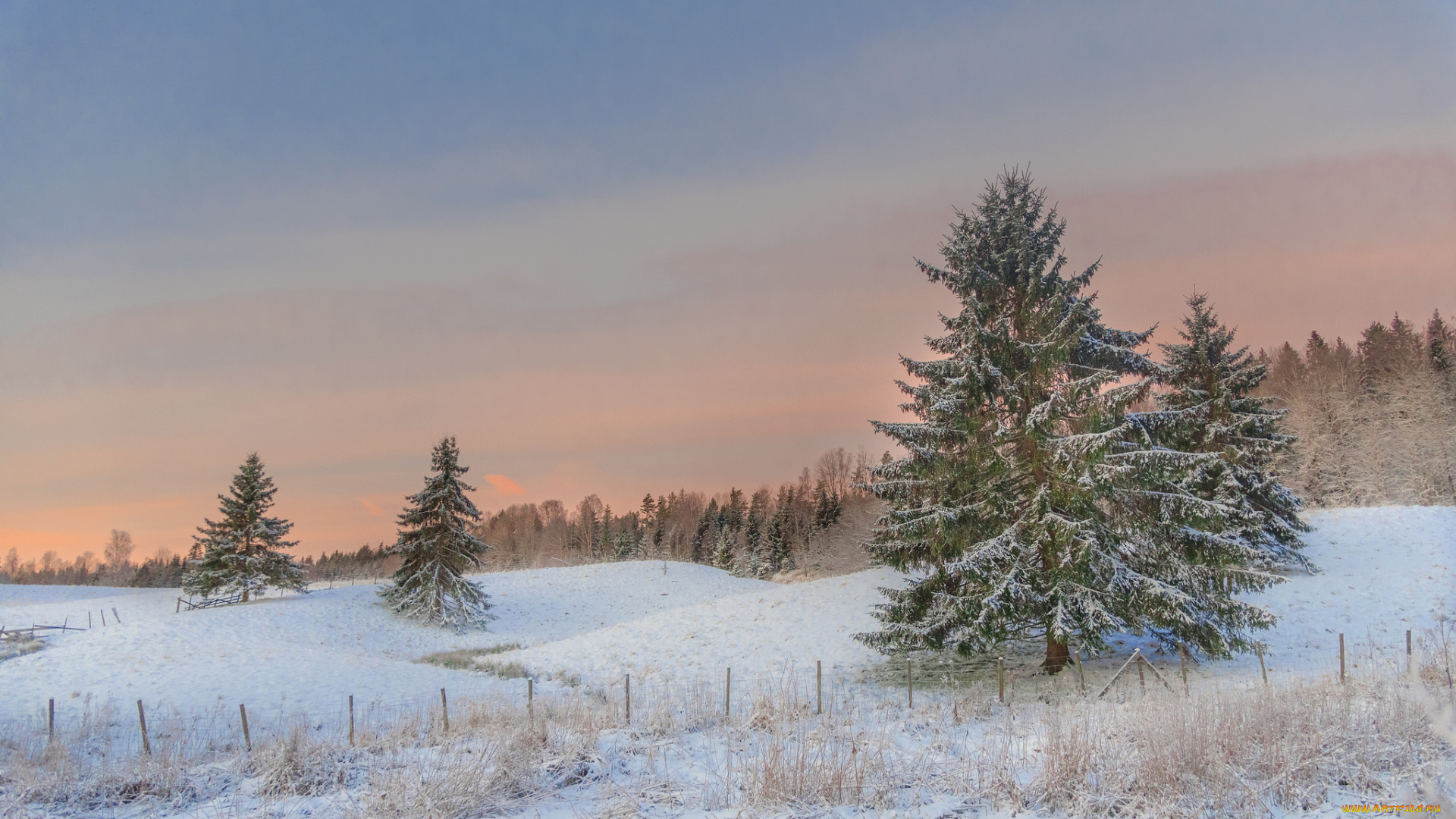 природа, зима, простор