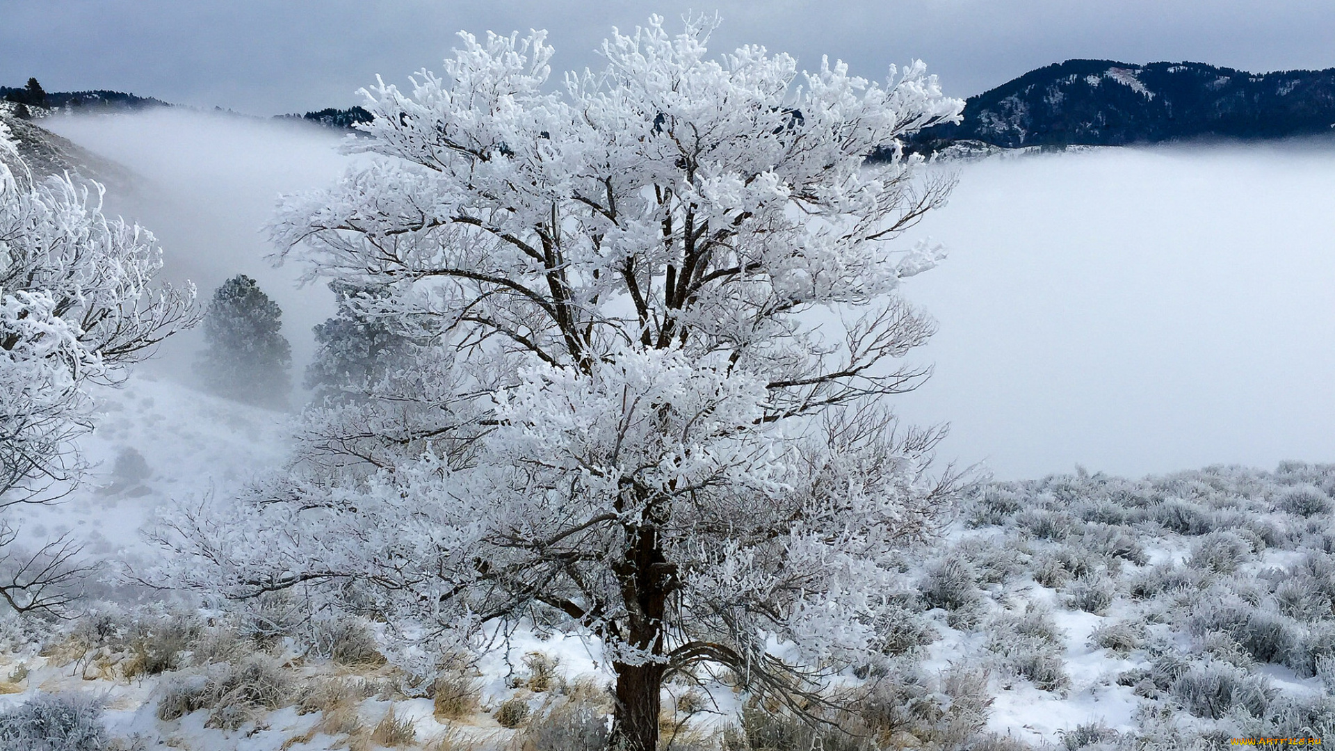 природа, зима, простор